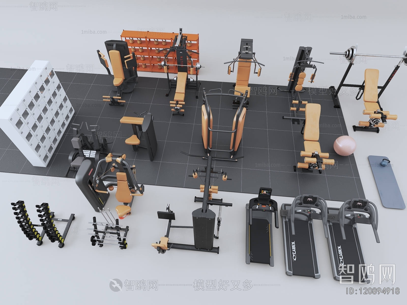 Modern Fitness Equipment