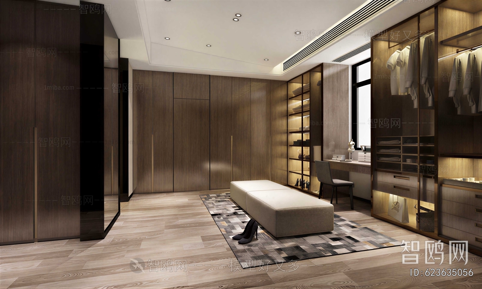 Modern Clothes Storage Area