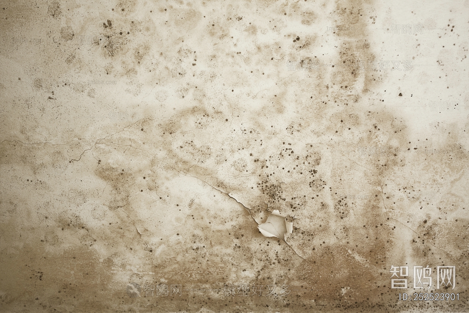 Cement