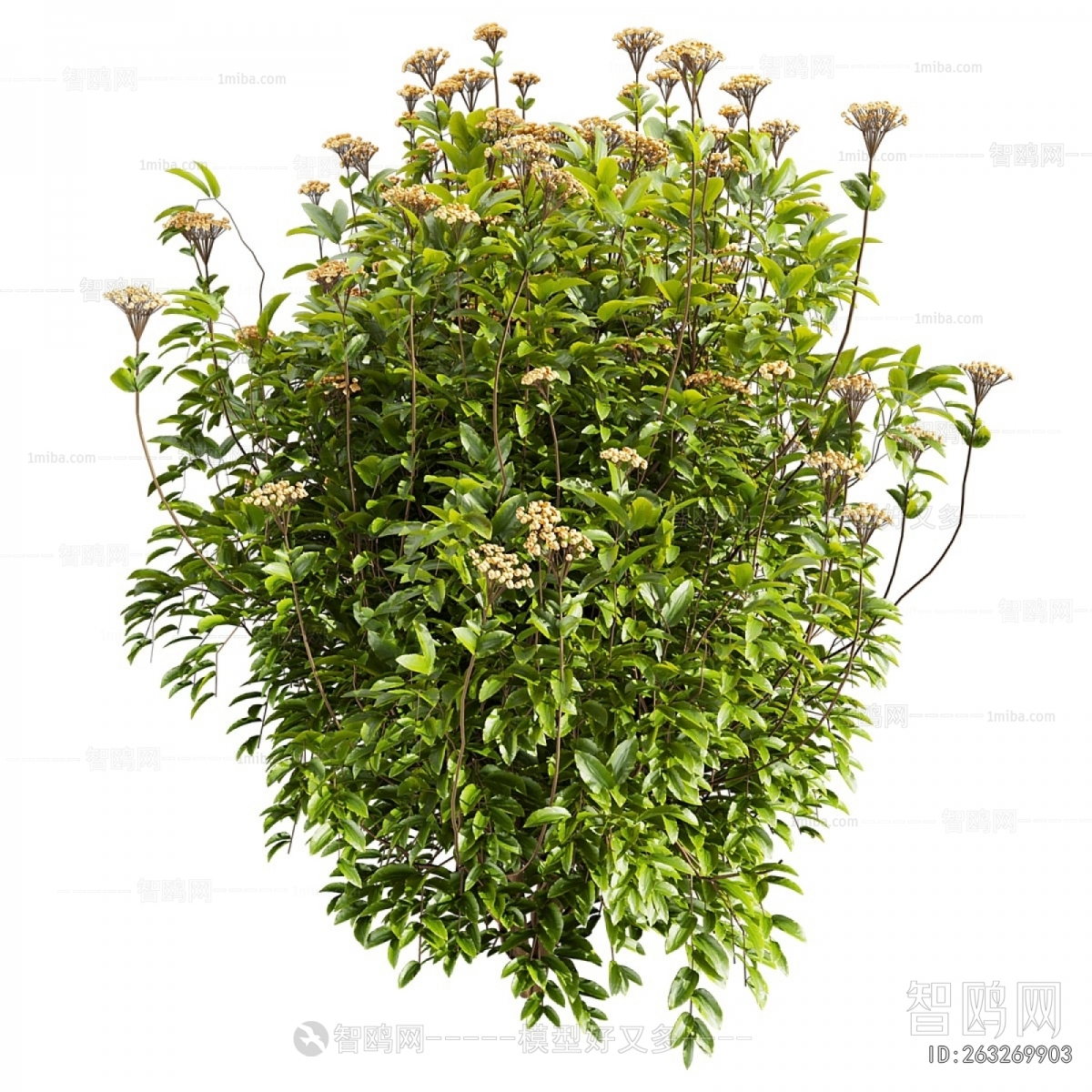 Modern Shrubbery