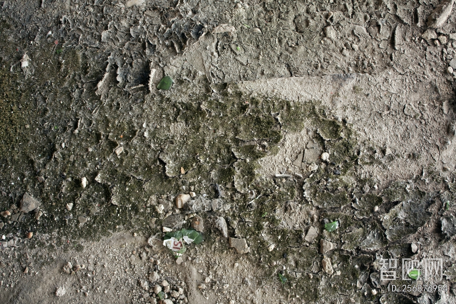 Cement