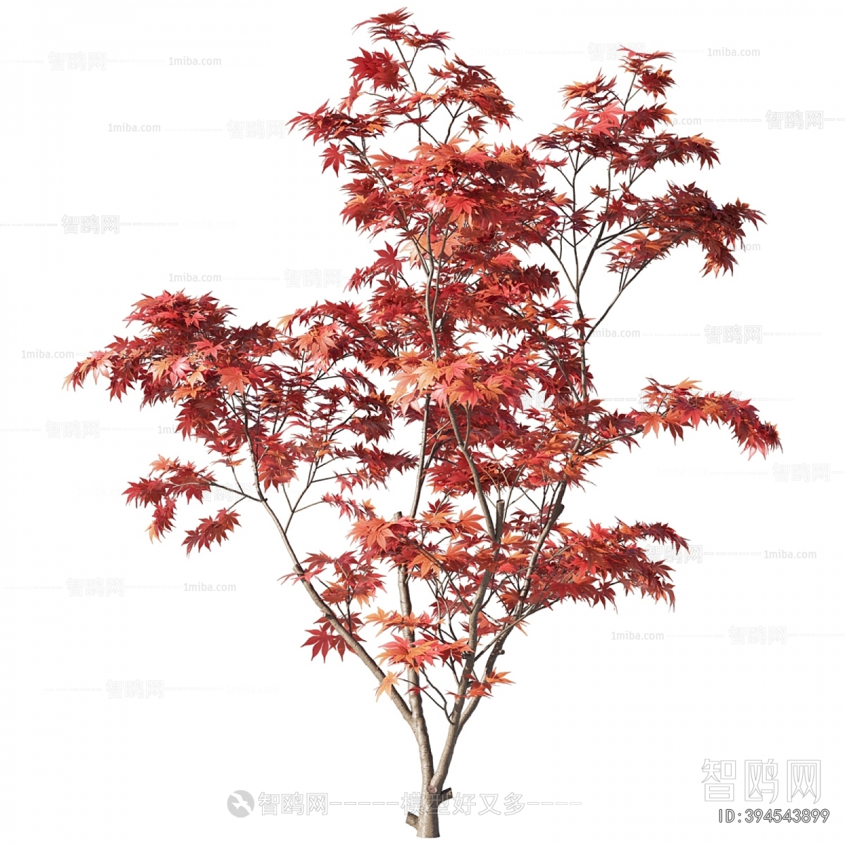Modern Tree