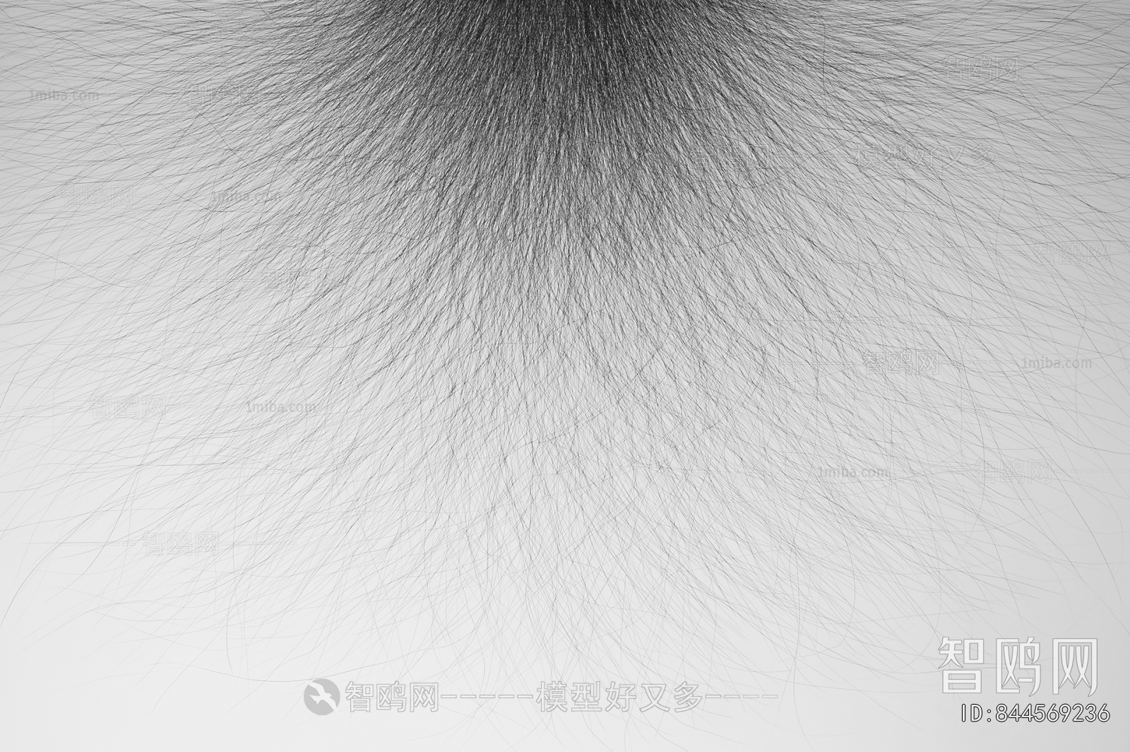 Texture