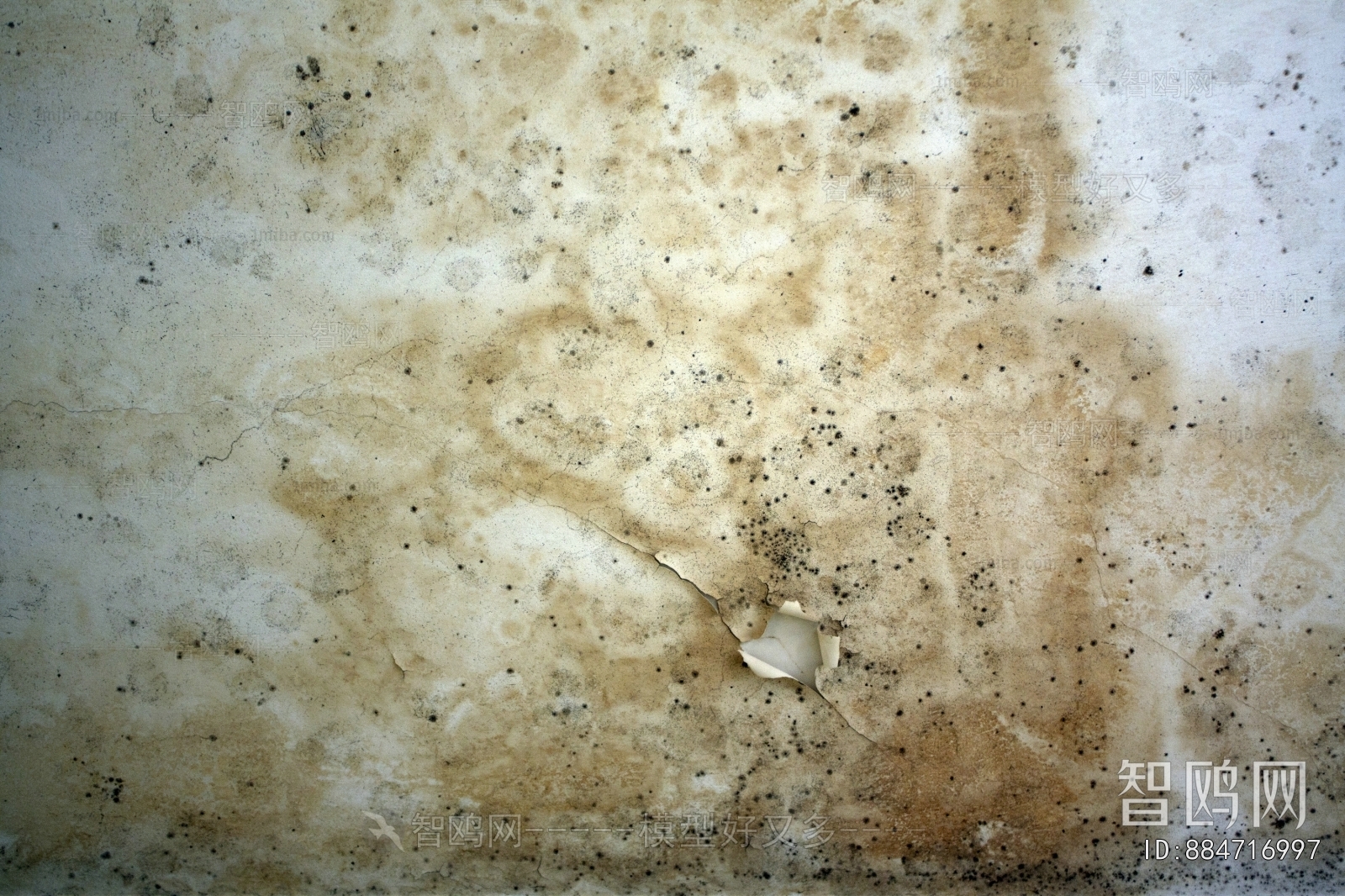 Cement