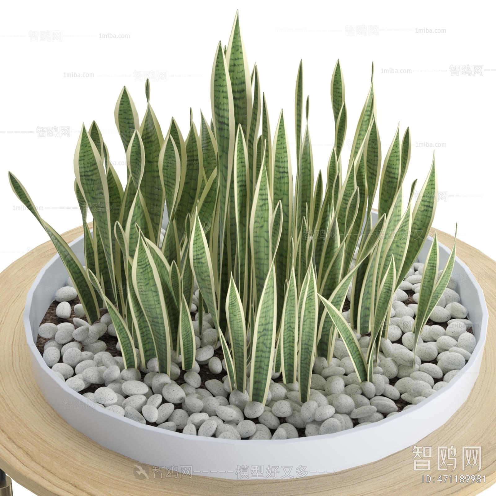 Modern Potted Green Plant