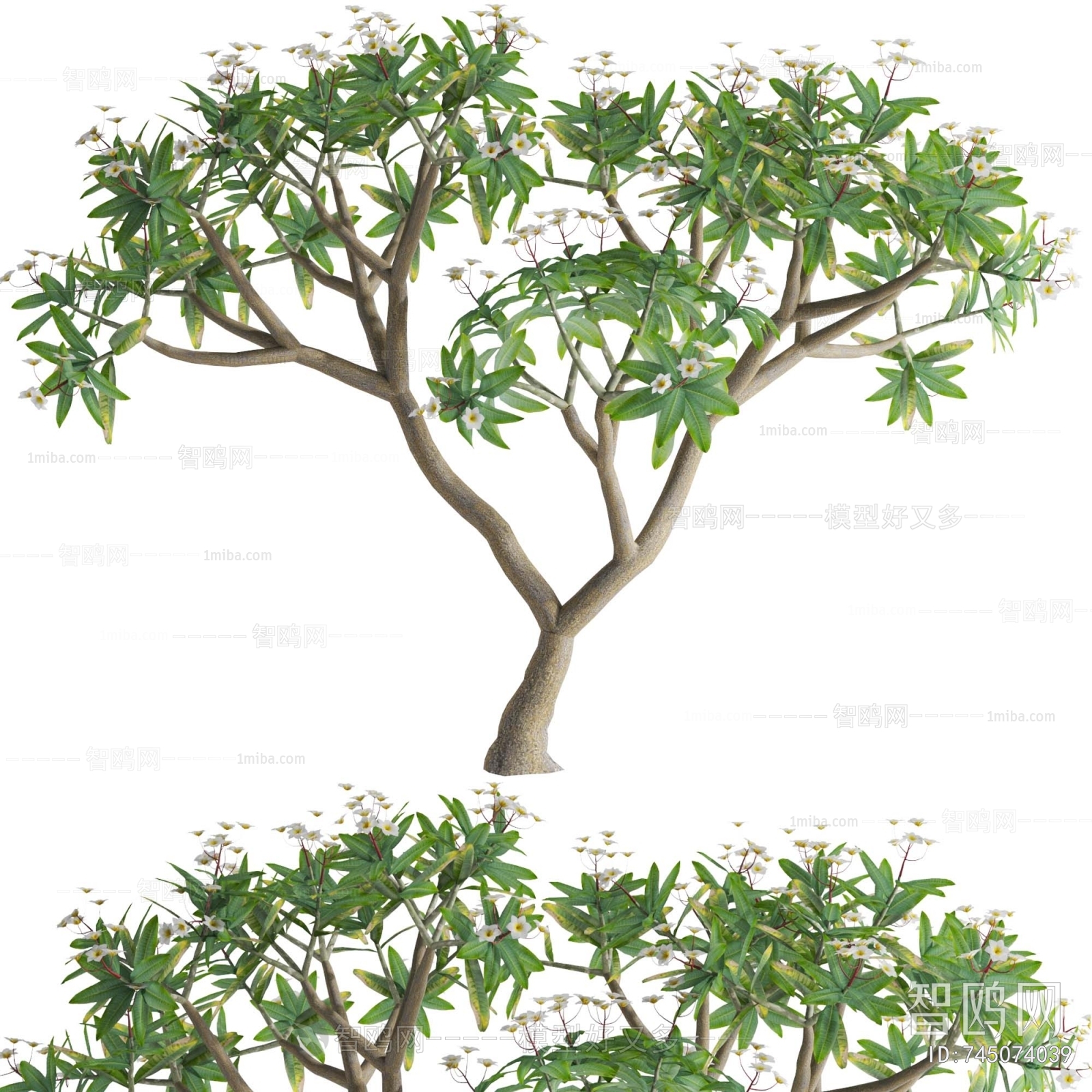 Modern Shrubbery
