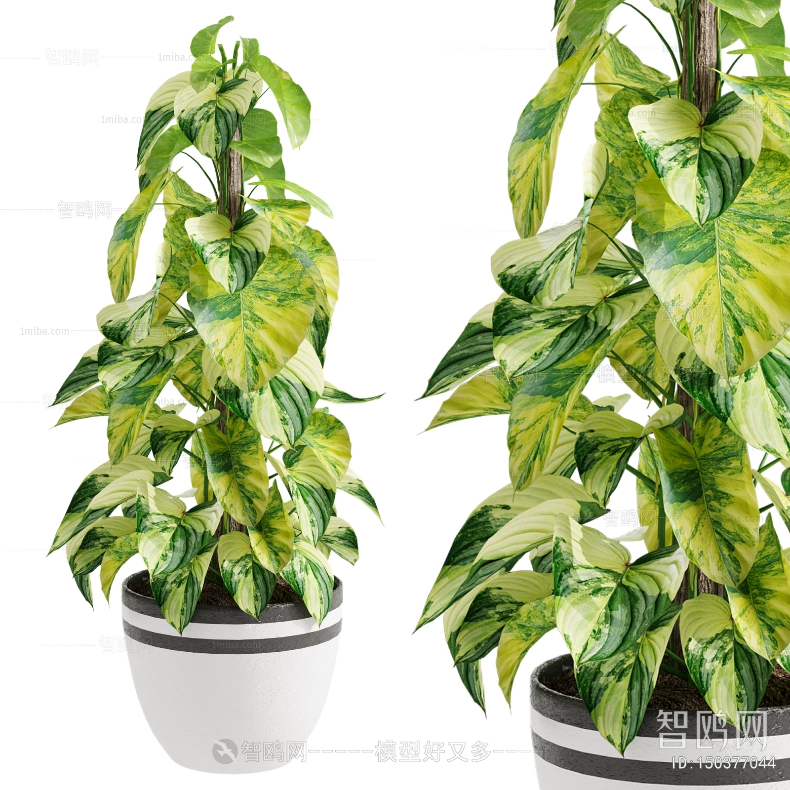 Modern Ground Green Plant Potted Plants