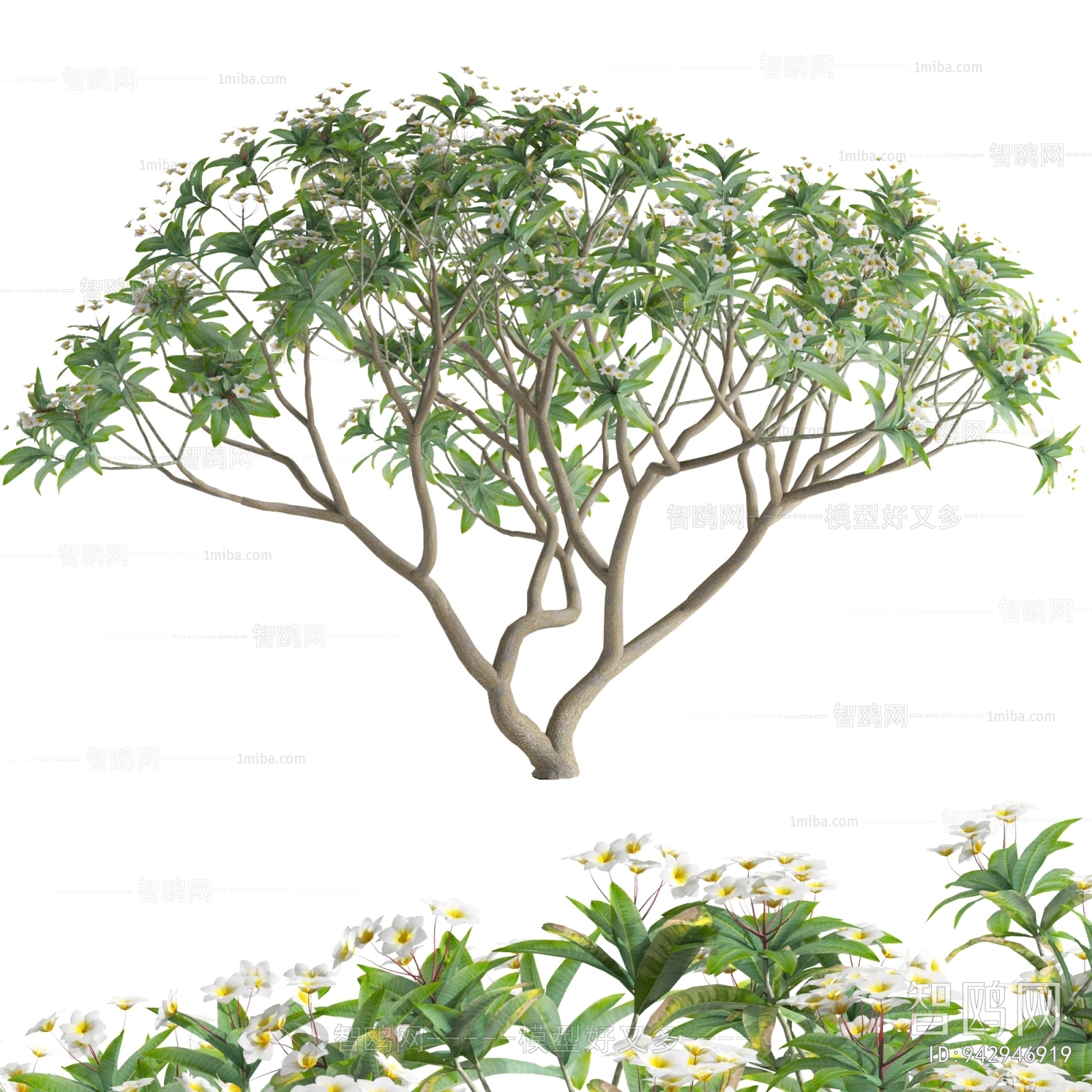 Modern Shrubbery
