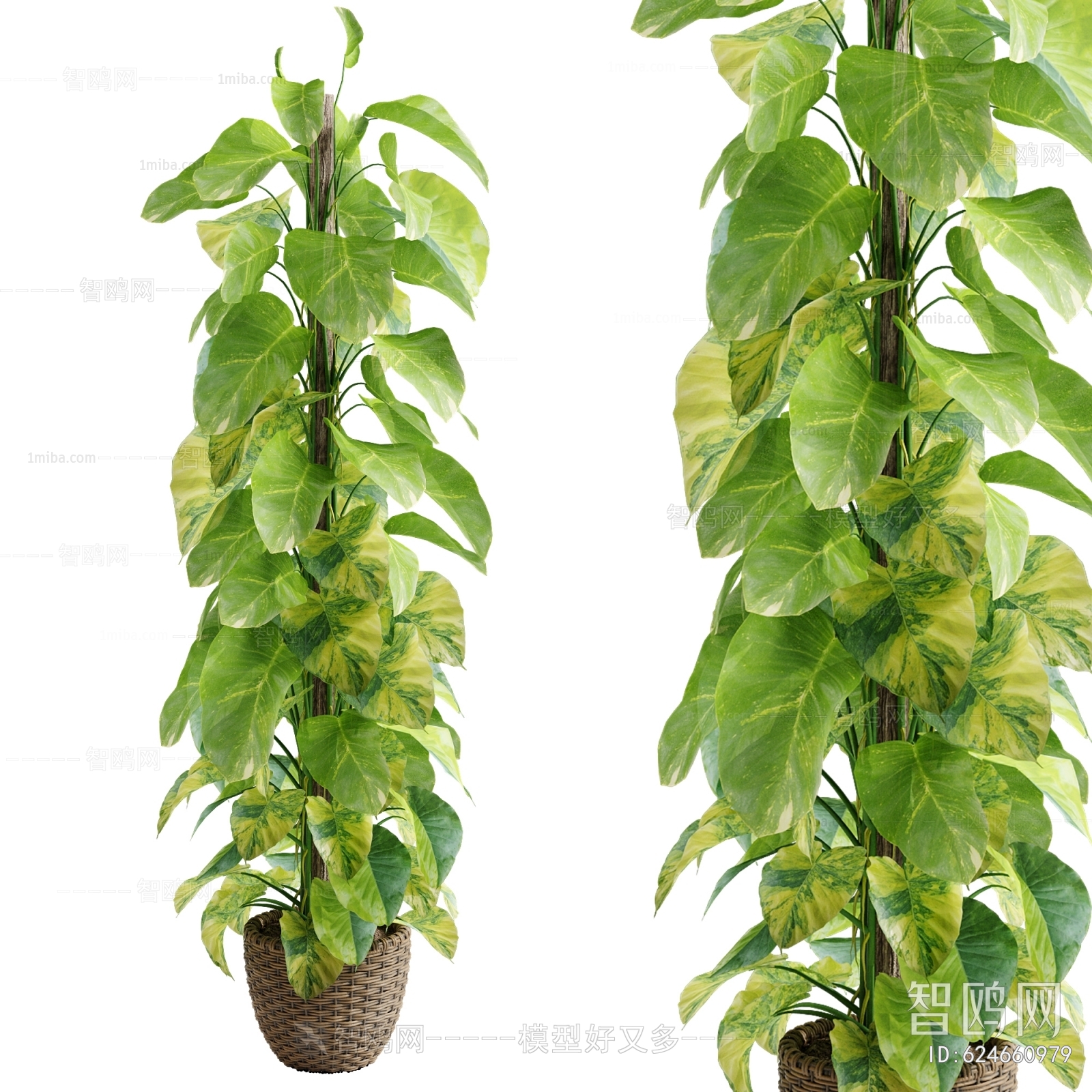Modern Ground Green Plant Potted Plants