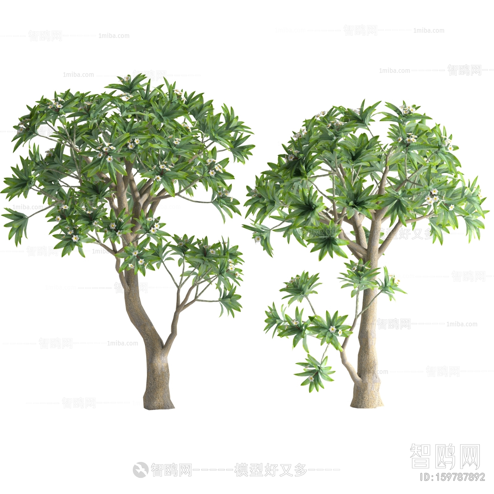 Modern Tree