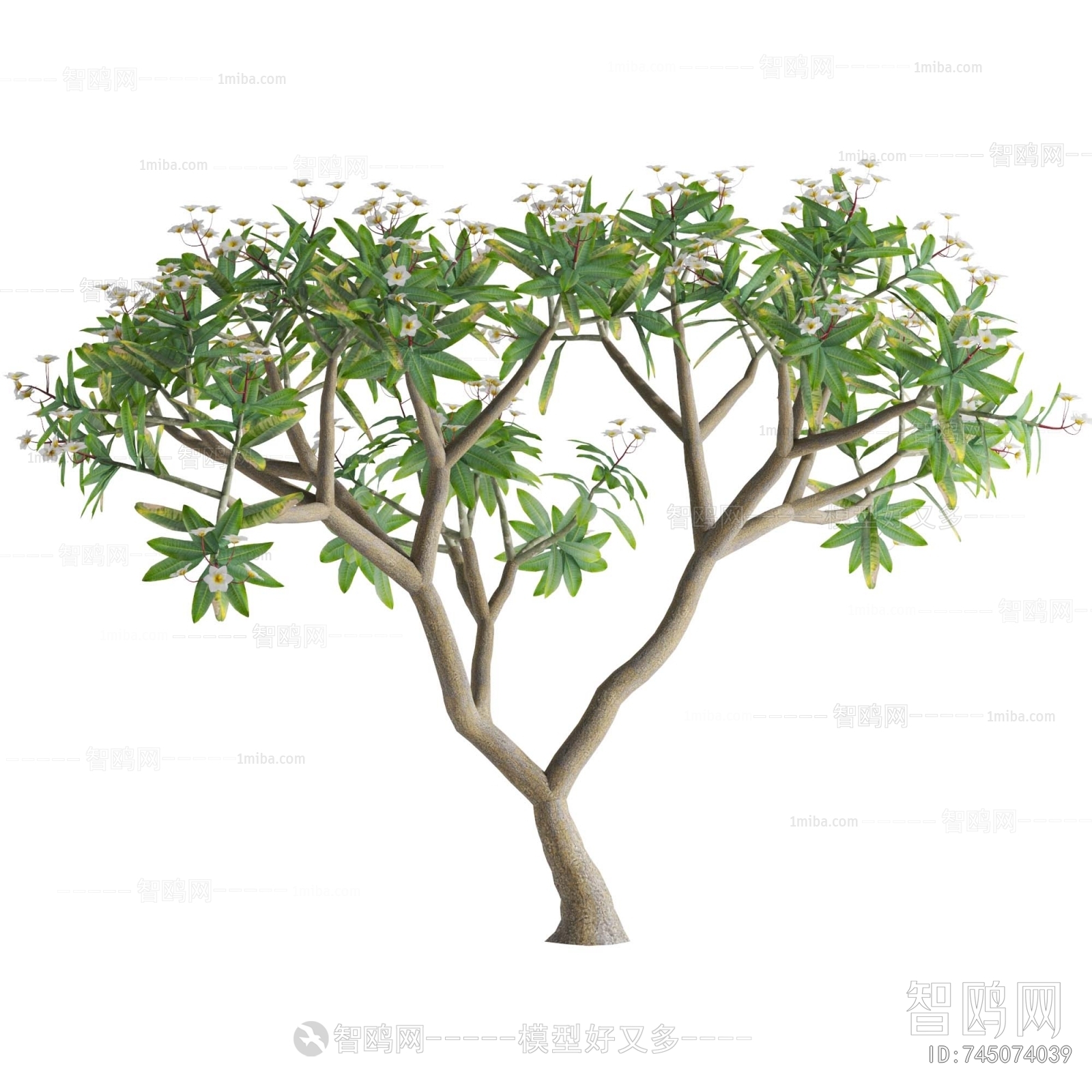 Modern Shrubbery