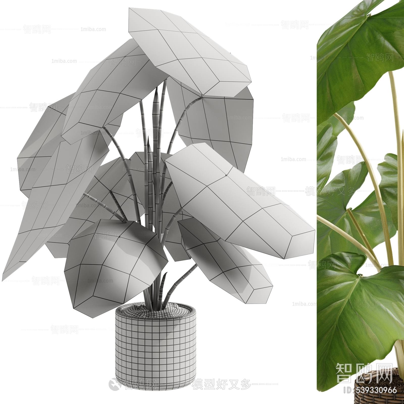 Modern Ground Green Plant Potted Plants