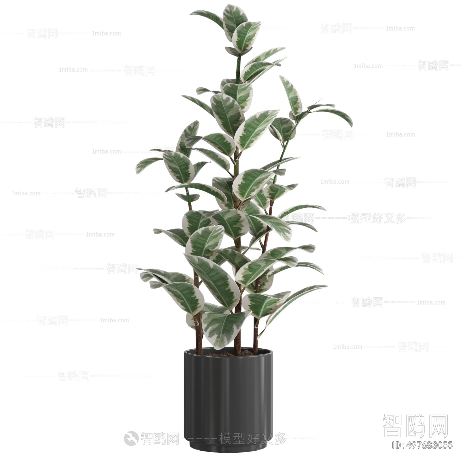 Modern Ground Green Plant Potted Plants