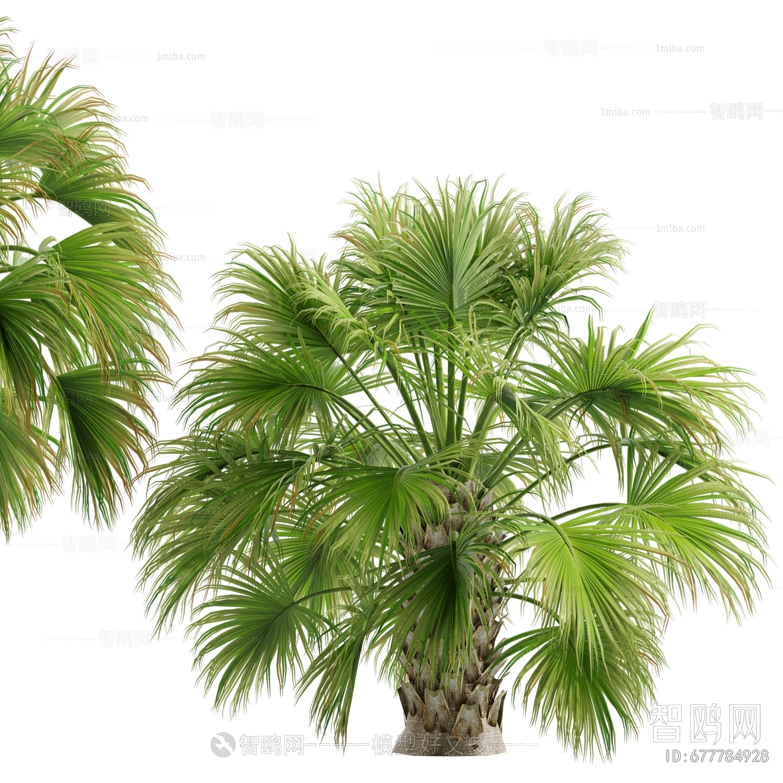 Modern Tree