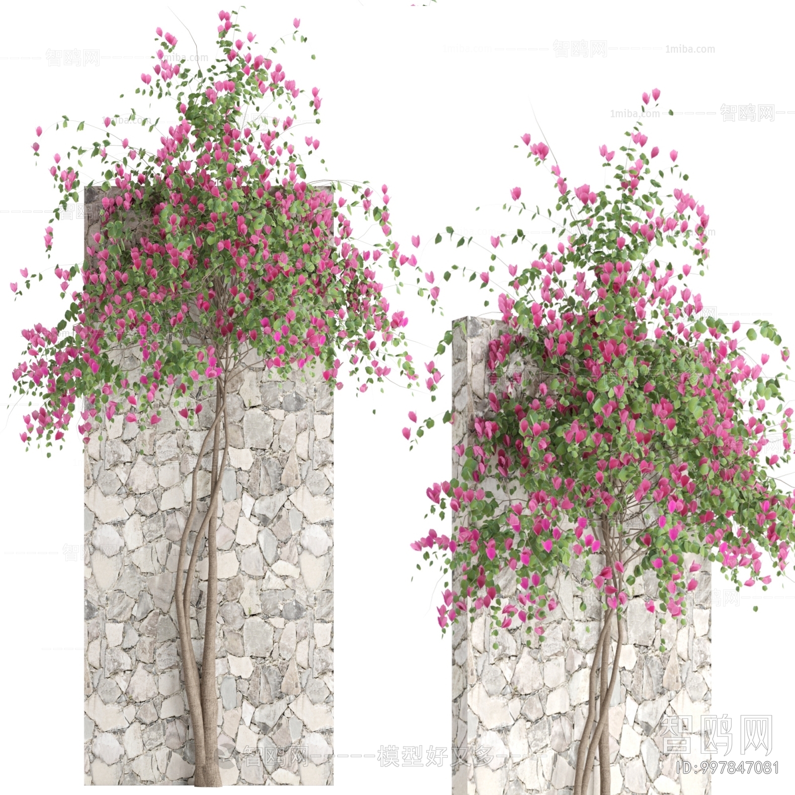 Modern Flowers