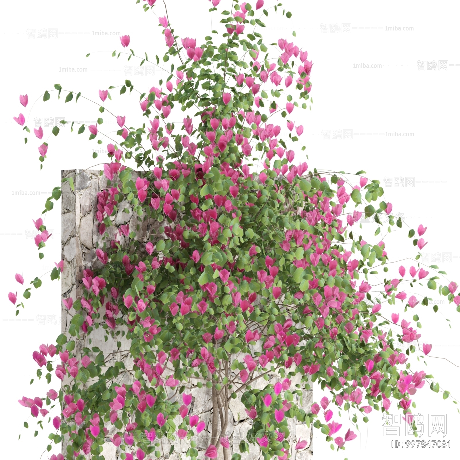 Modern Flowers