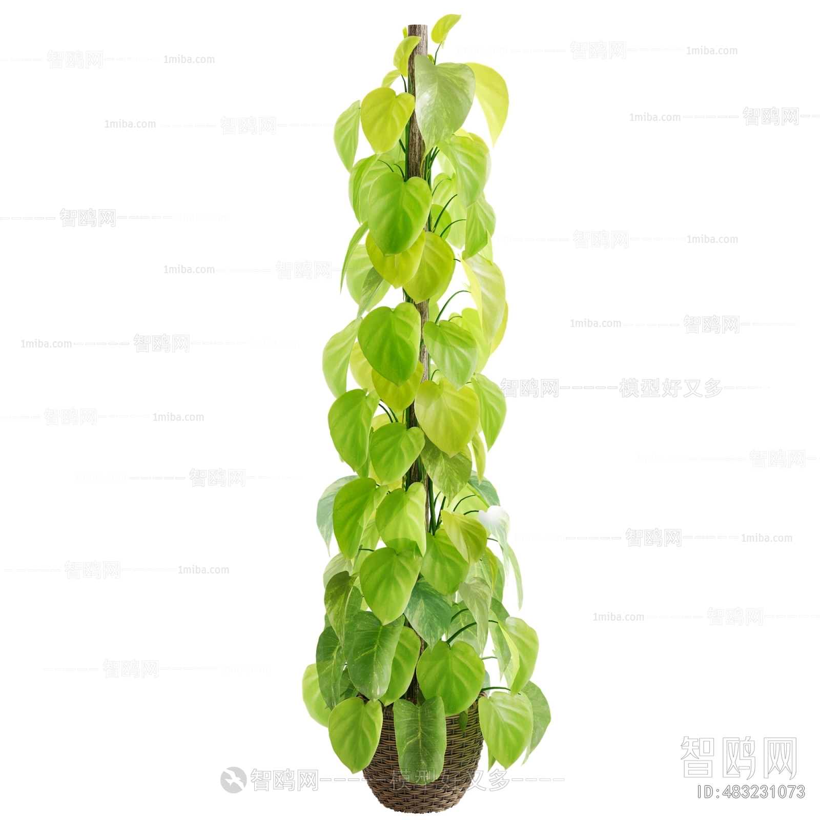 Modern Ground Green Plant Potted Plants