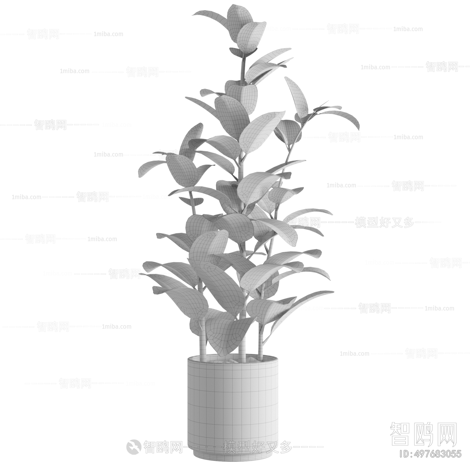 Modern Ground Green Plant Potted Plants