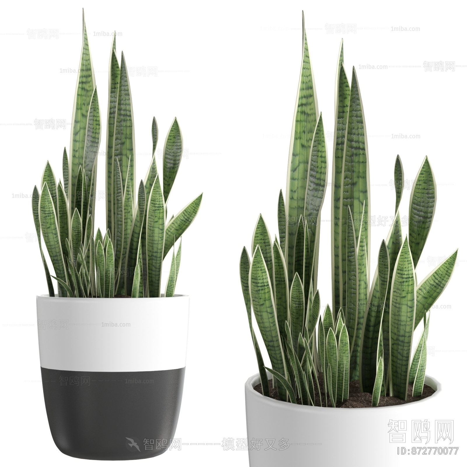 Modern Potted Green Plant