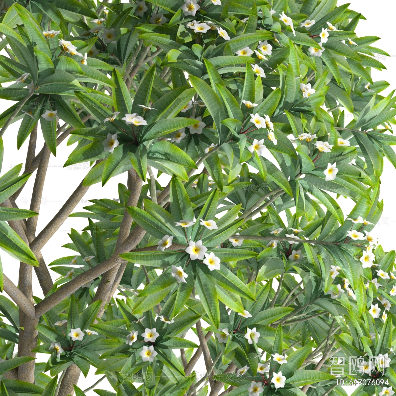 Modern Shrubbery