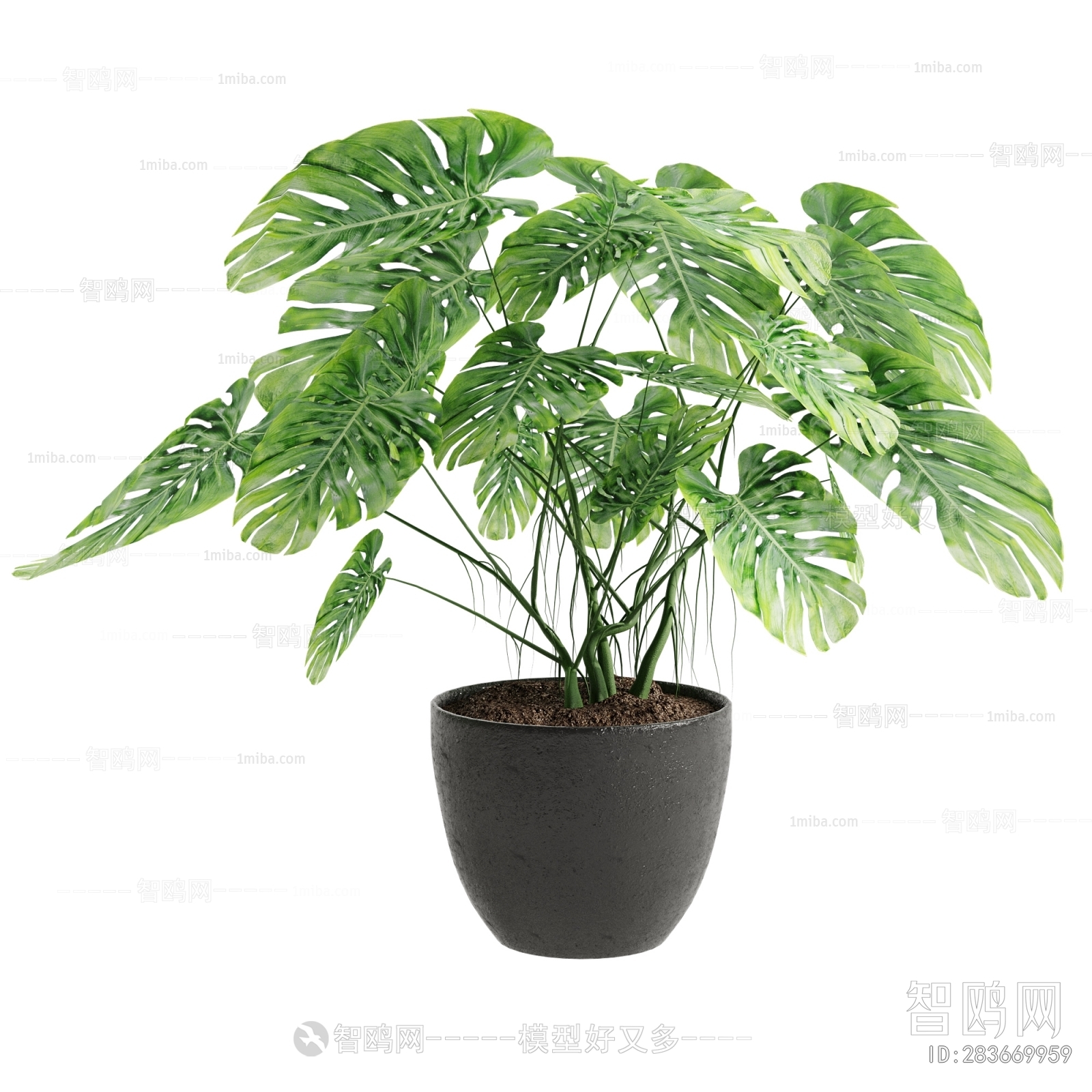 Modern Potted Green Plant