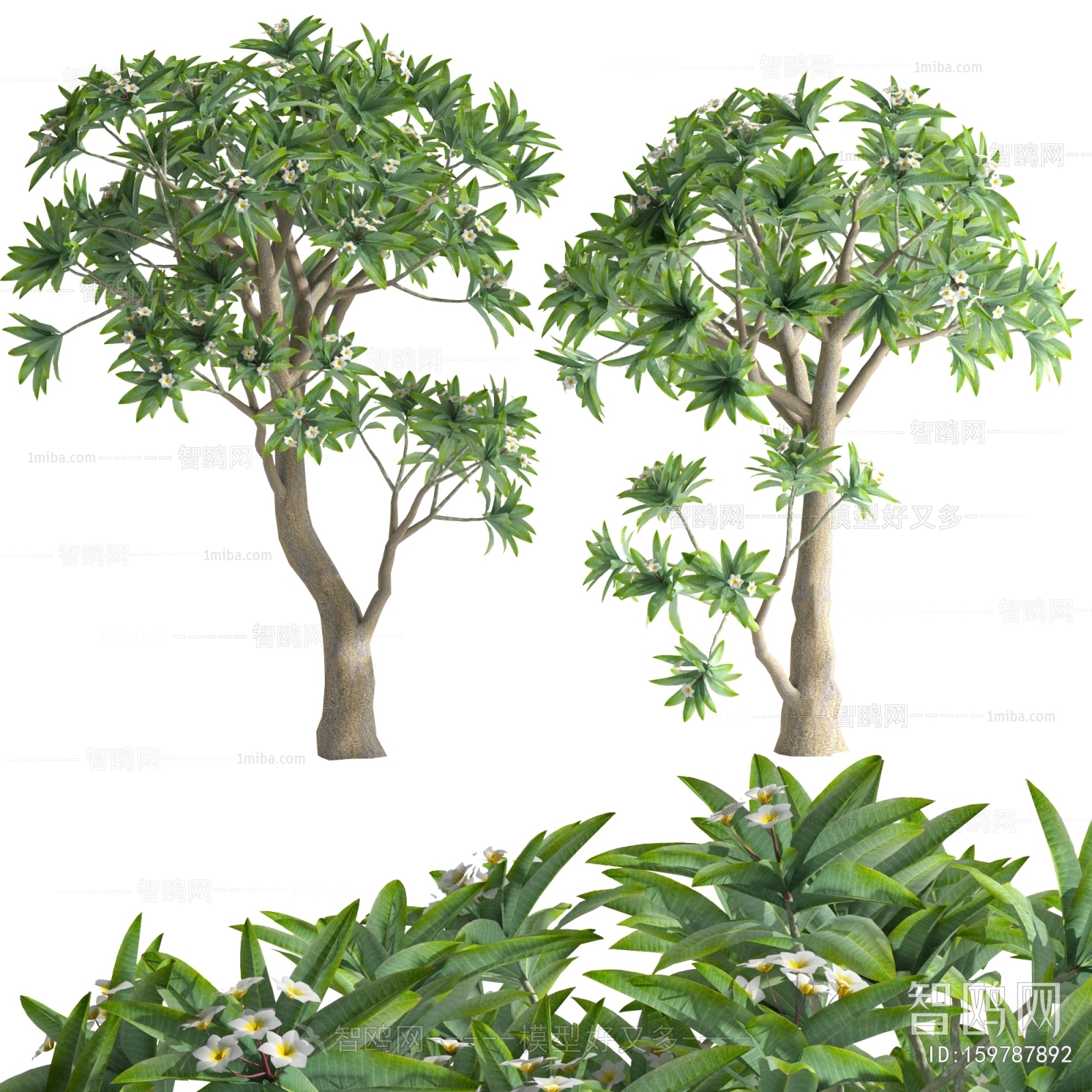 Modern Tree