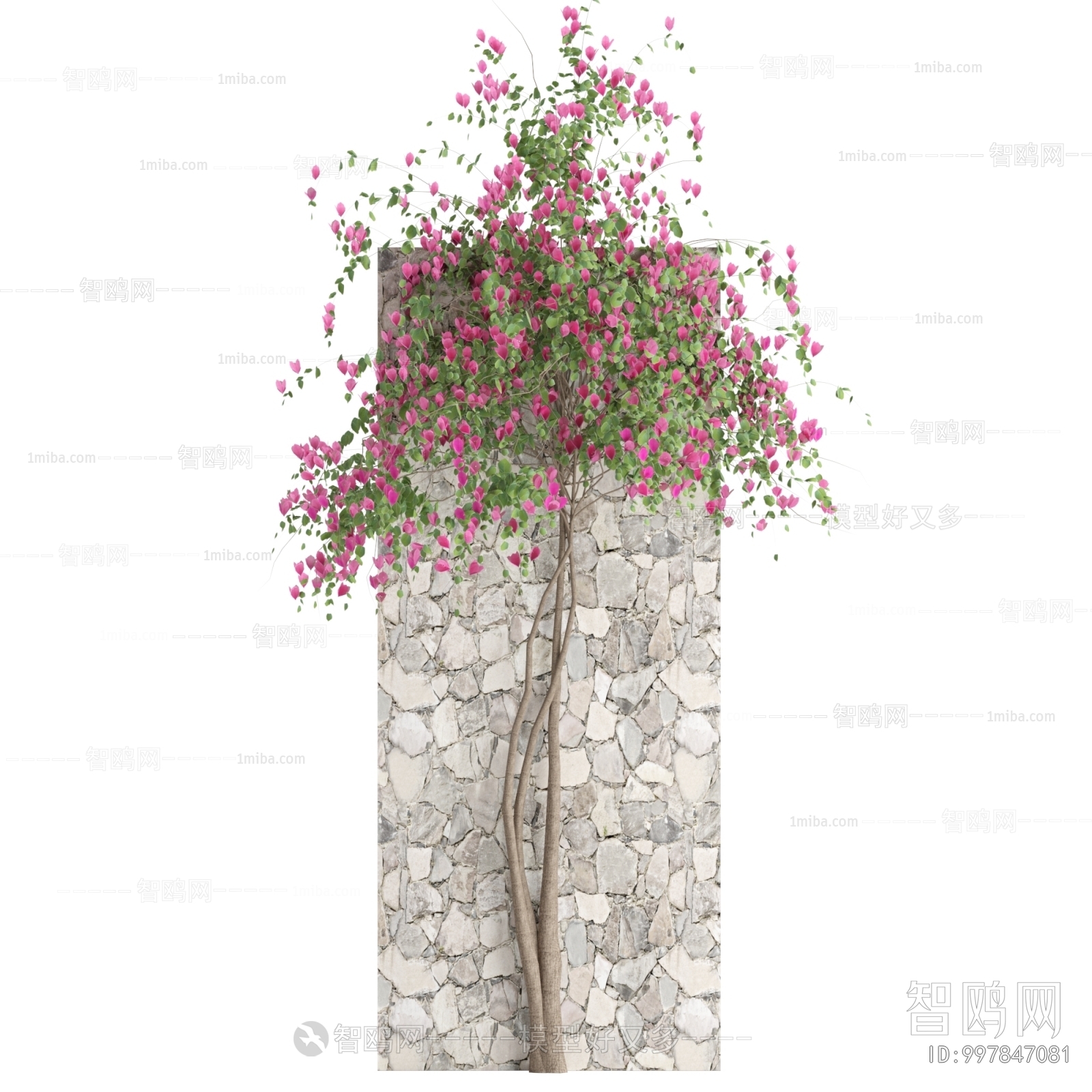 Modern Flowers