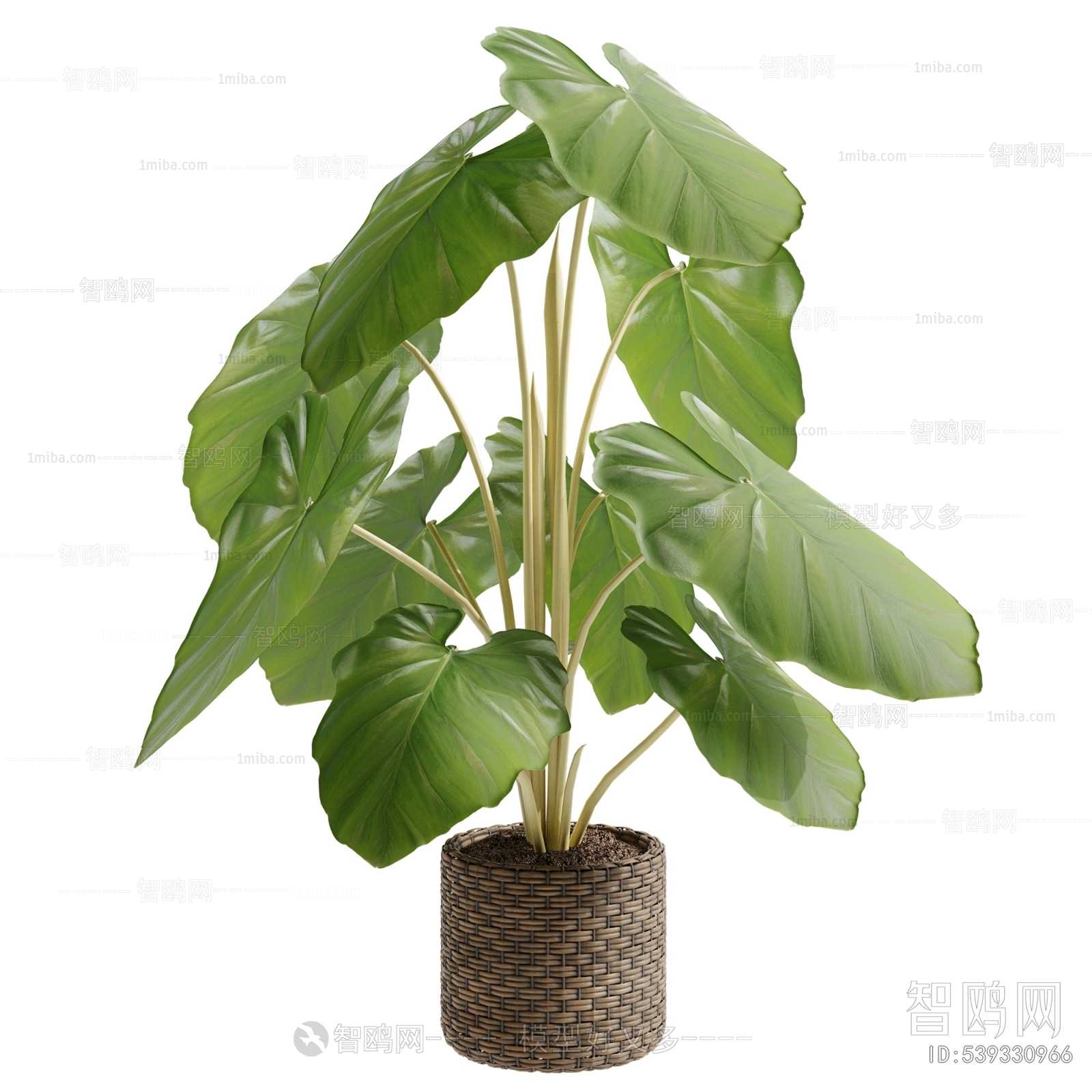 Modern Ground Green Plant Potted Plants