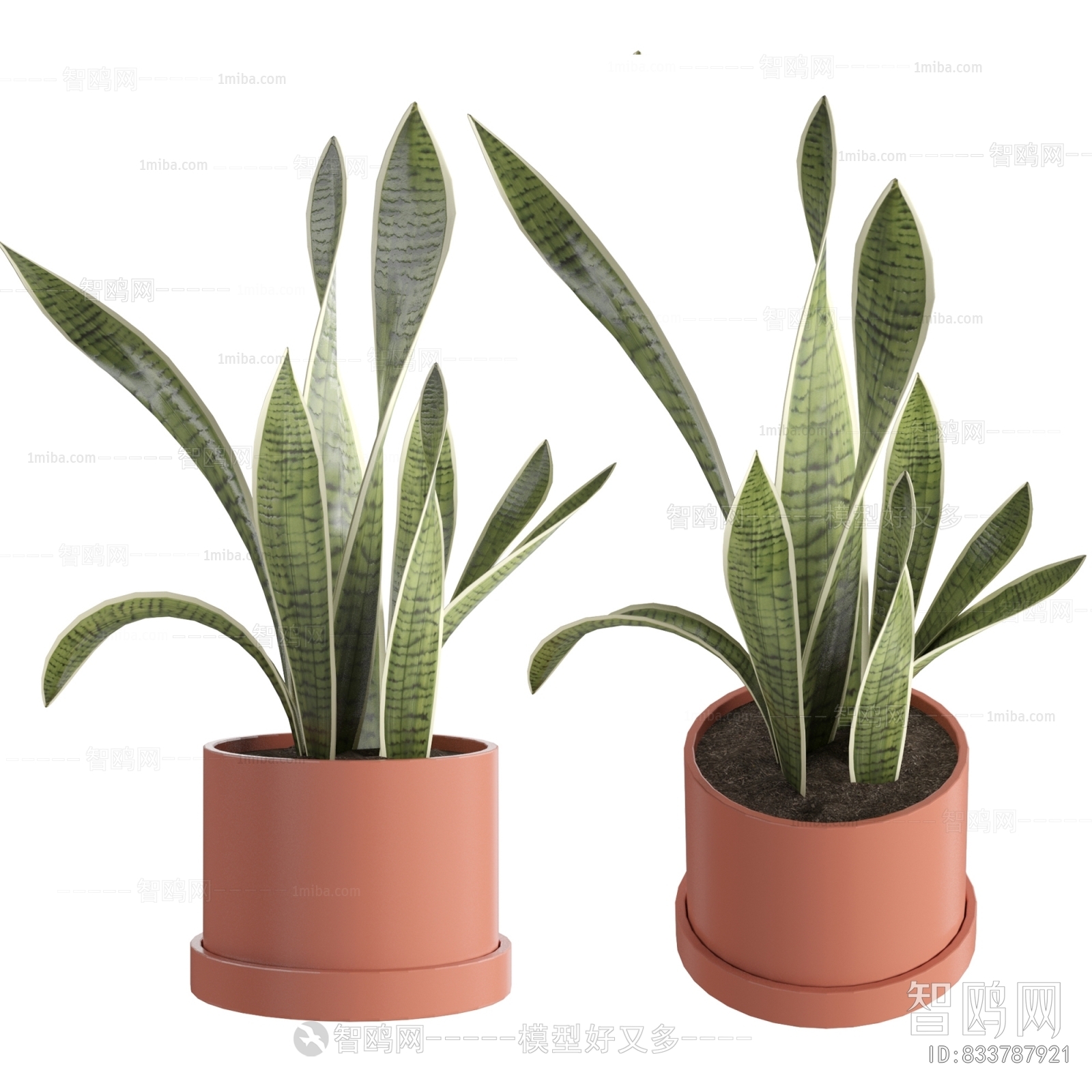 Modern Potted Green Plant