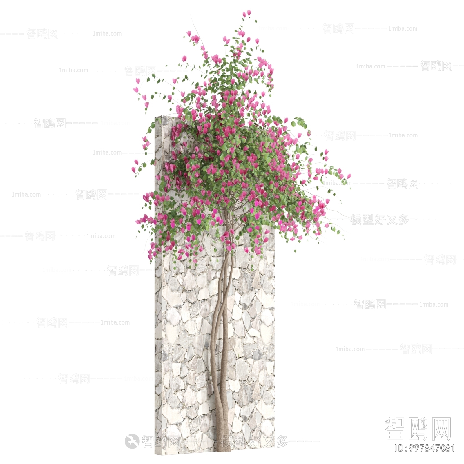 Modern Flowers