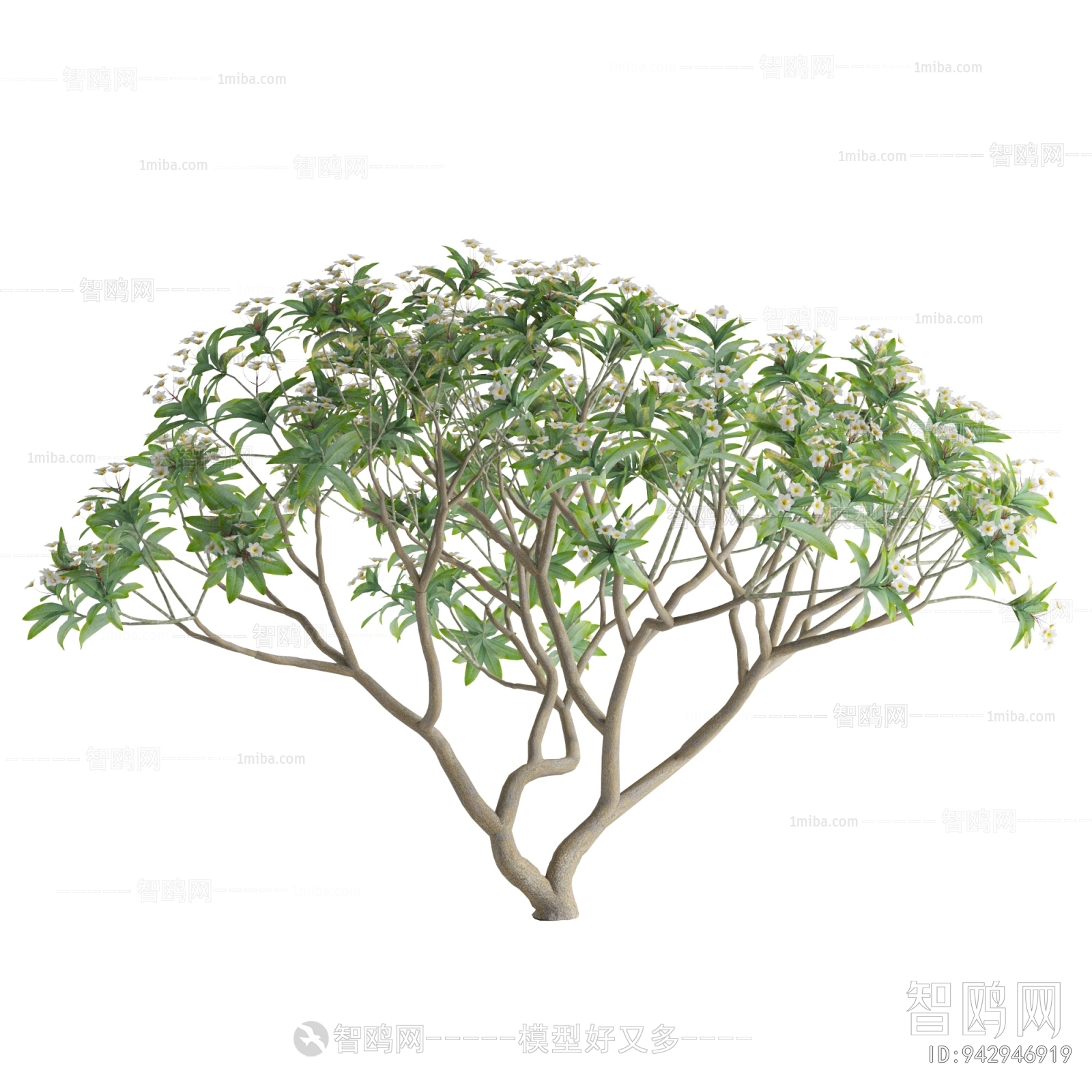 Modern Shrubbery