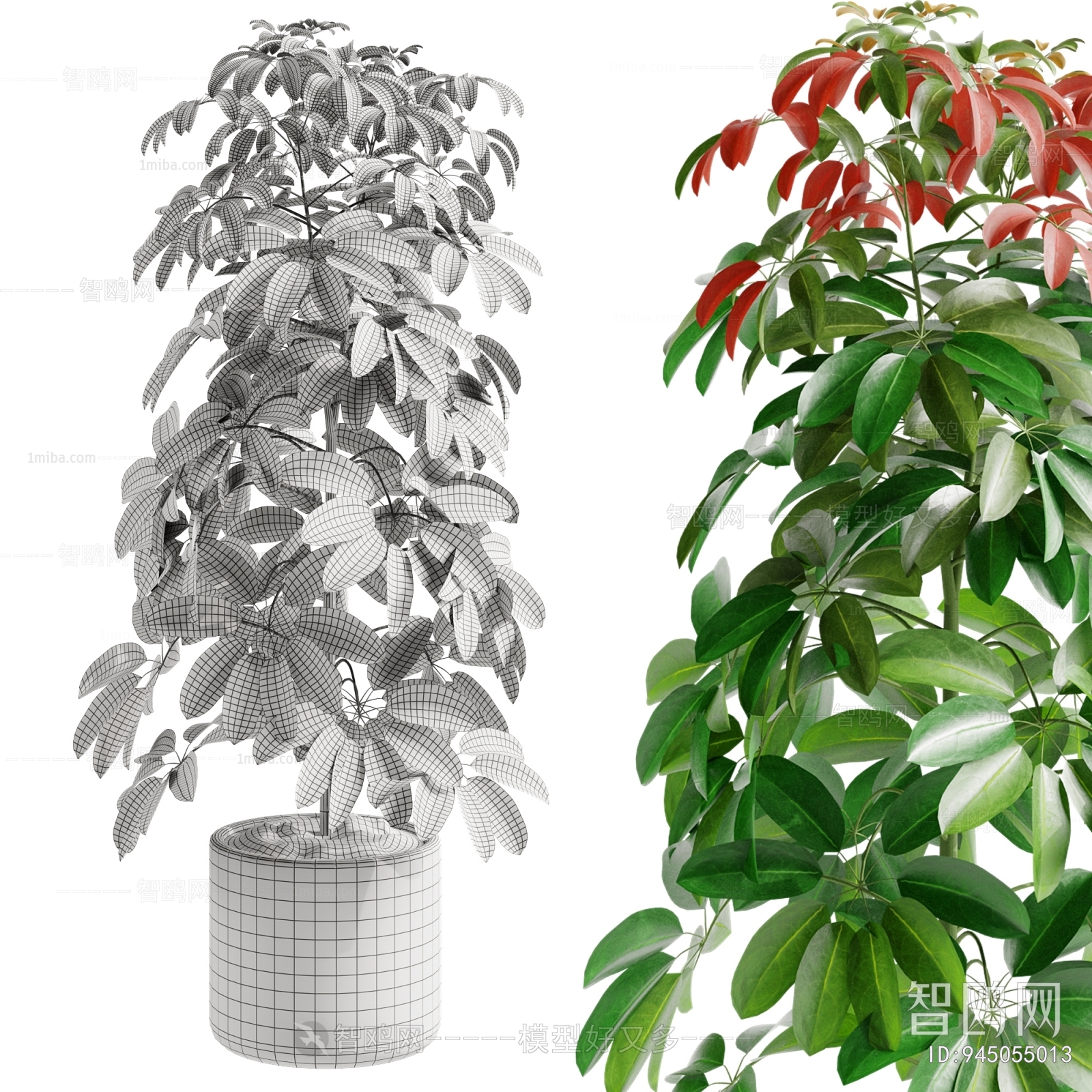 Modern Ground Green Plant Potted Plants