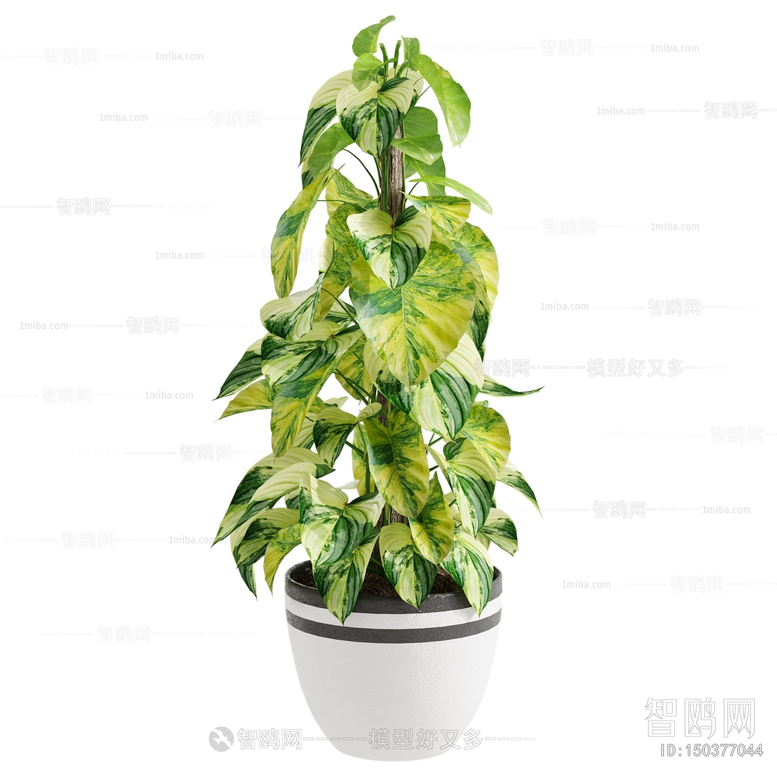 Modern Ground Green Plant Potted Plants