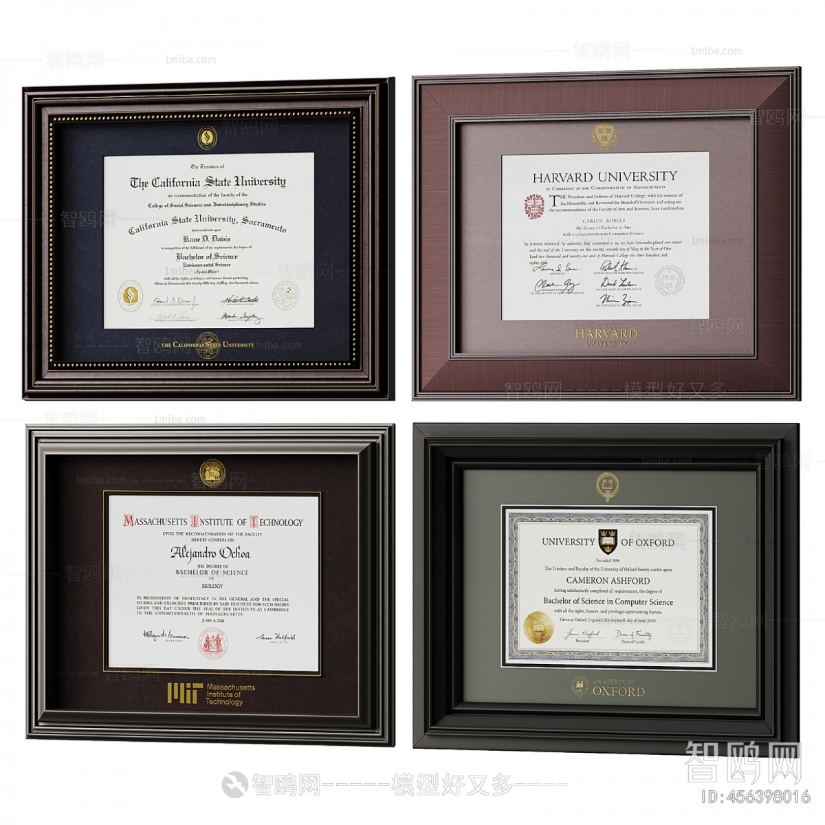 Modern Flag/badge/trophy/certificate