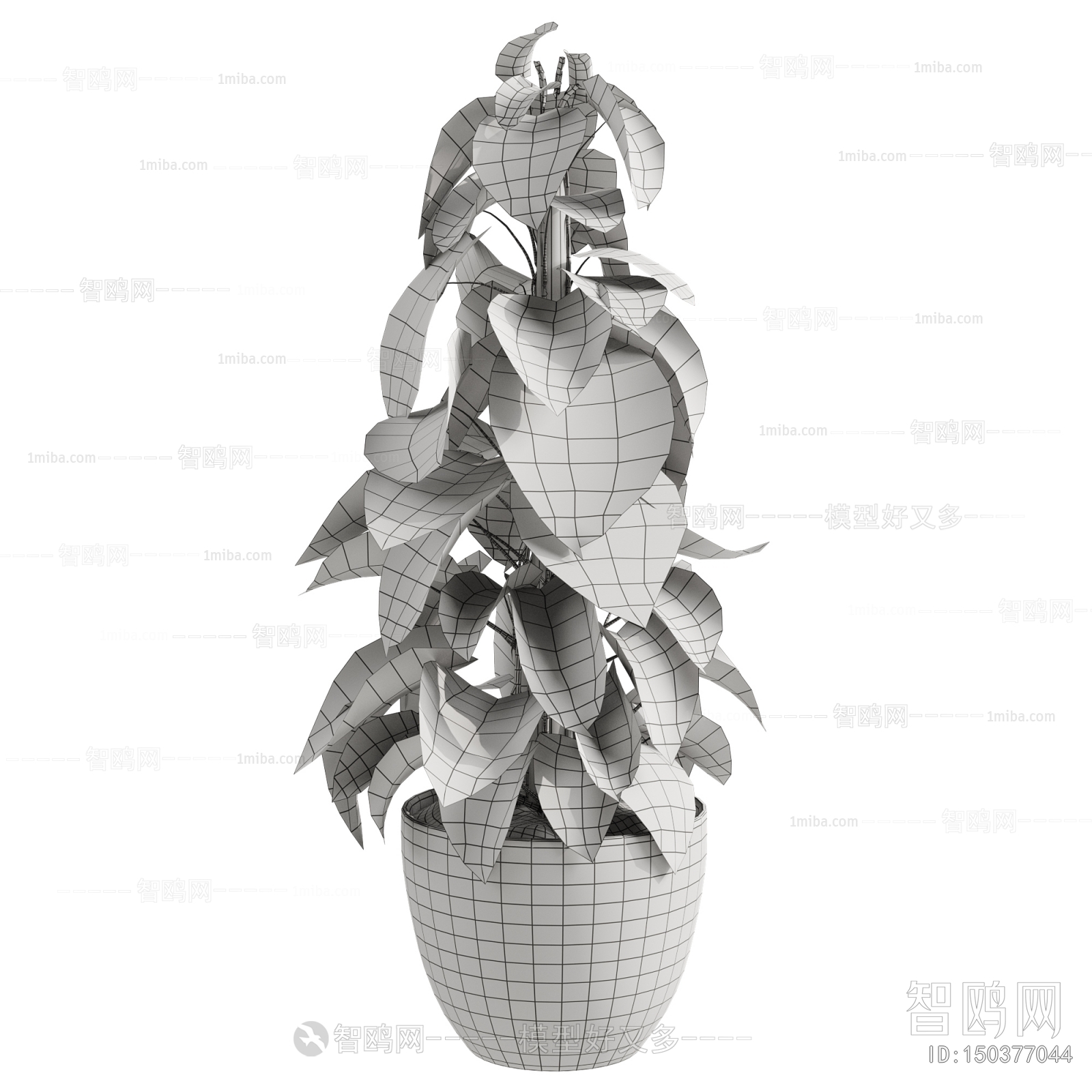 Modern Ground Green Plant Potted Plants