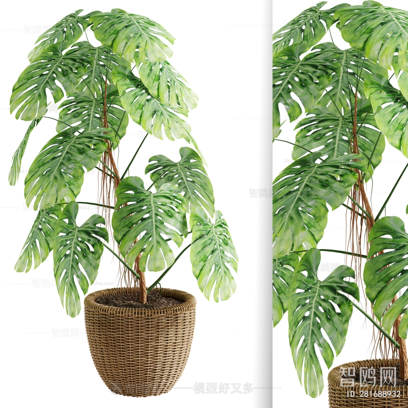 Modern Ground Green Plant Potted Plants