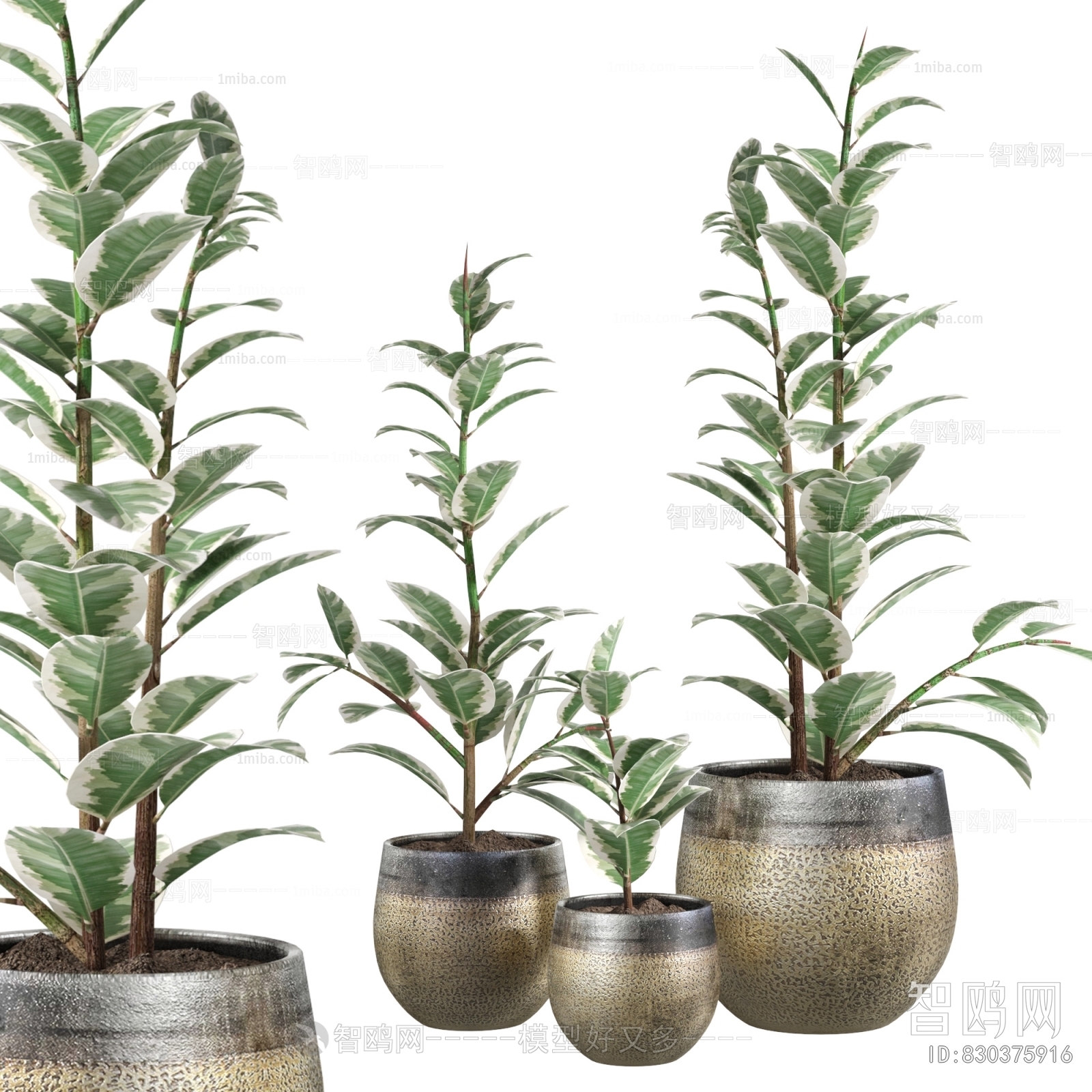 Modern Ground Green Plant Potted Plants