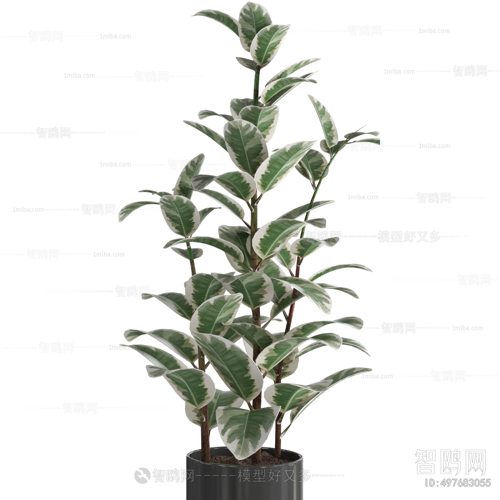 Modern Ground Green Plant Potted Plants