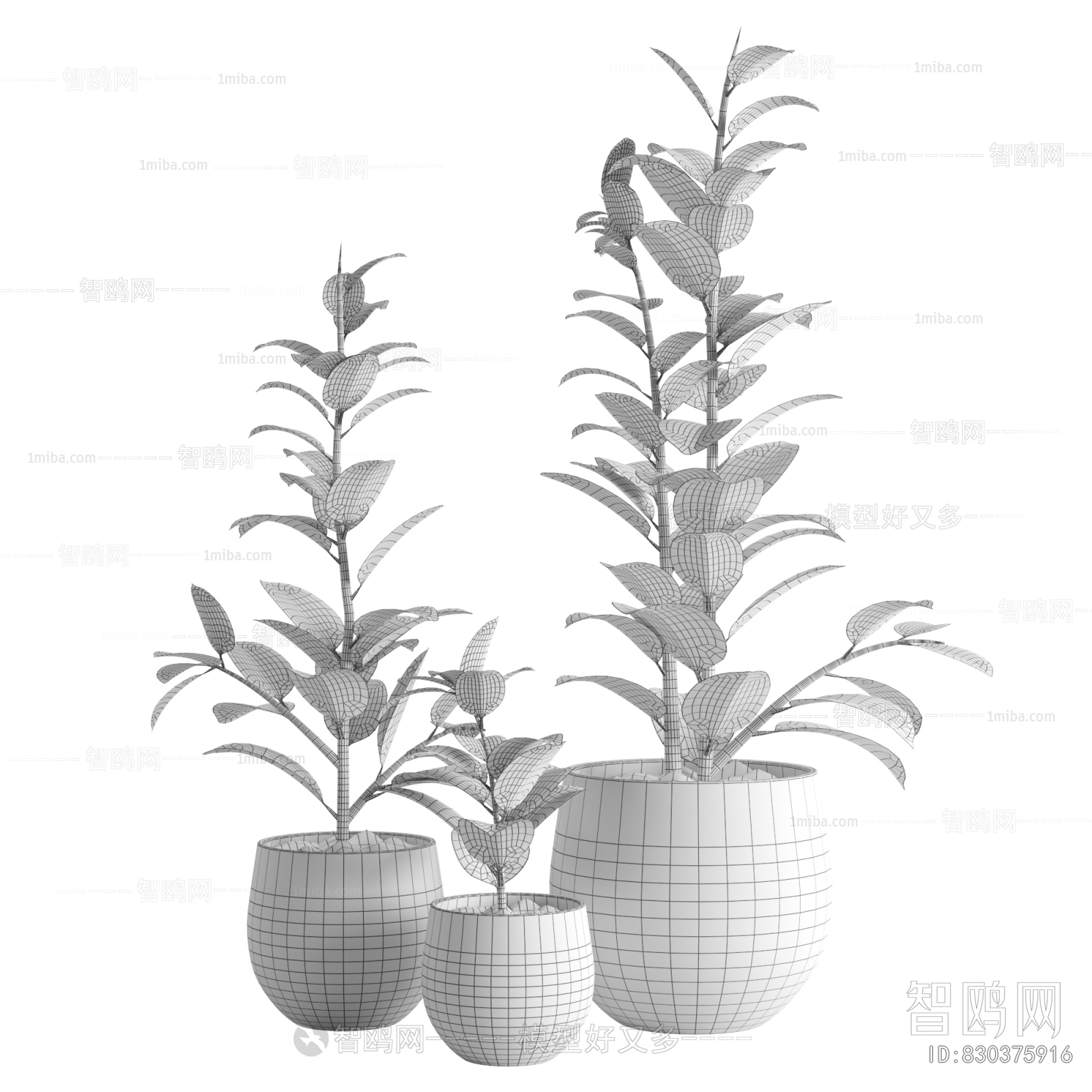 Modern Ground Green Plant Potted Plants