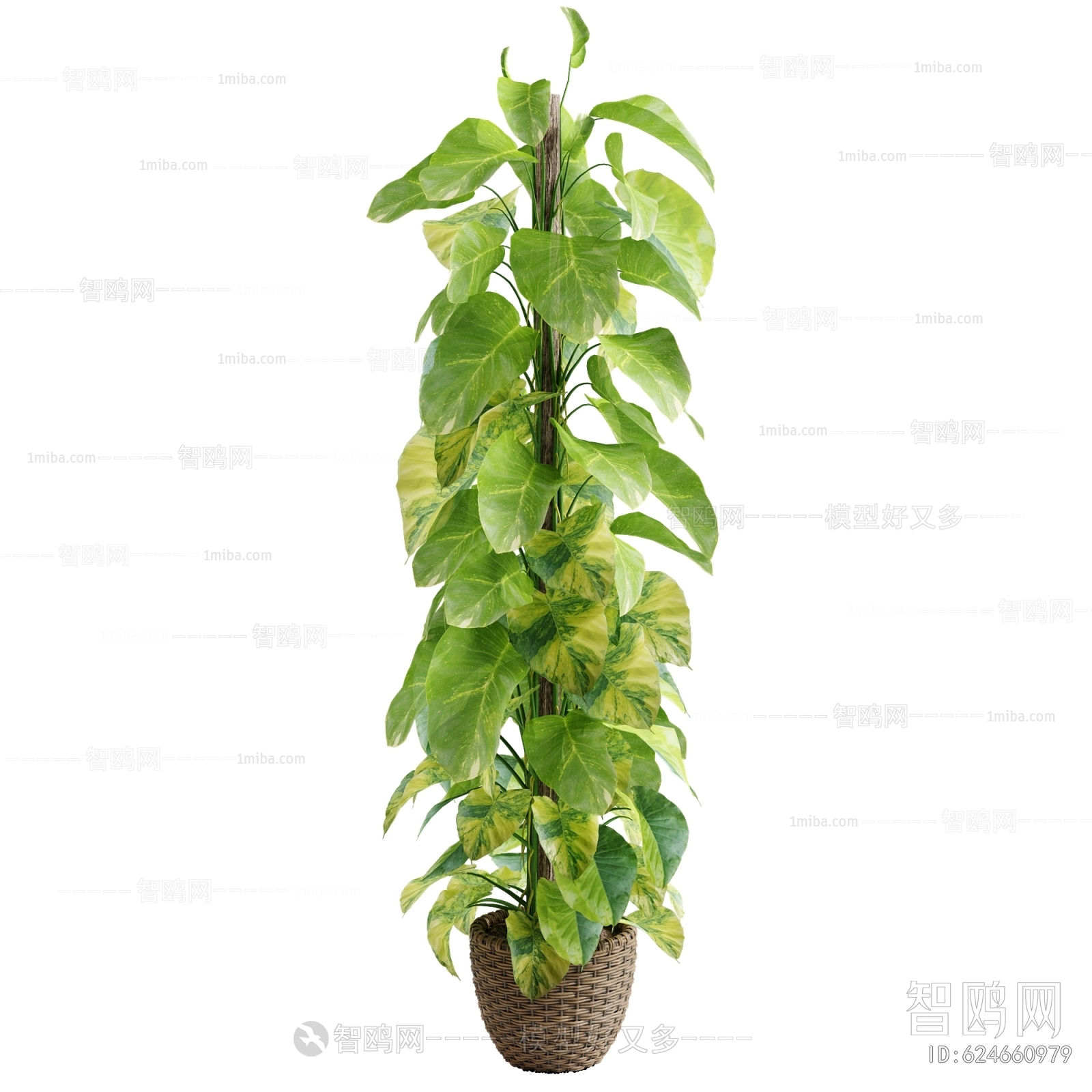 Modern Ground Green Plant Potted Plants