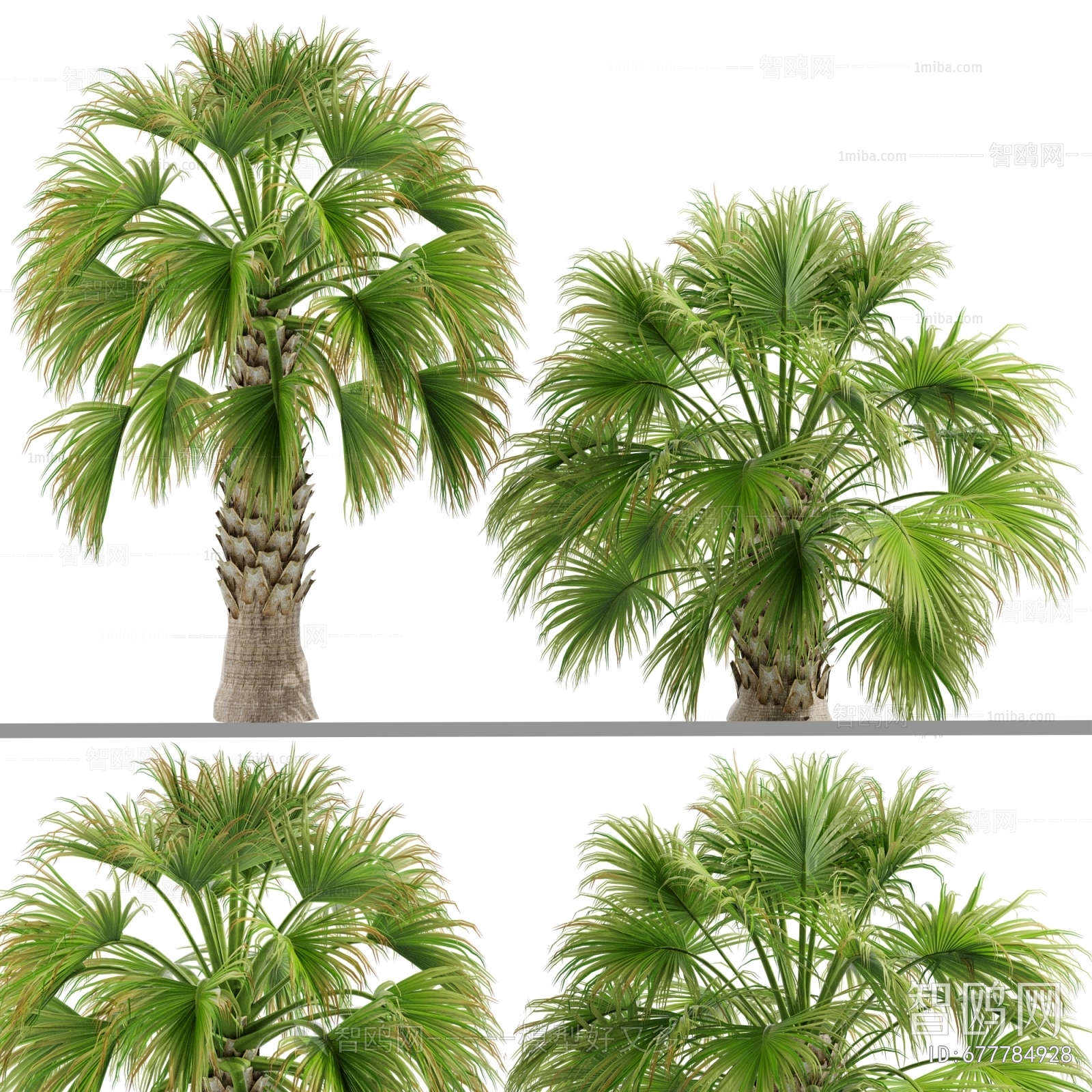 Modern Tree