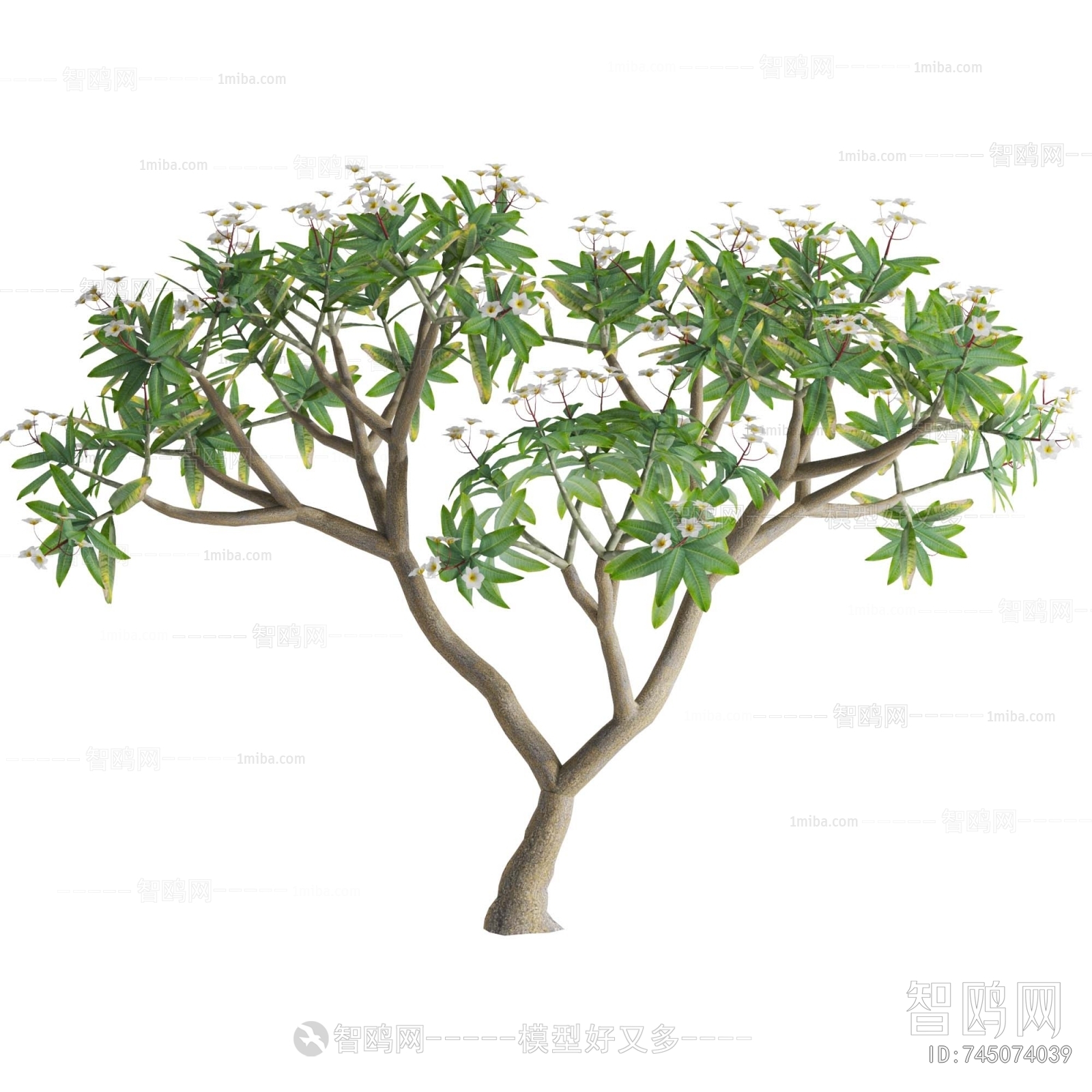 Modern Shrubbery