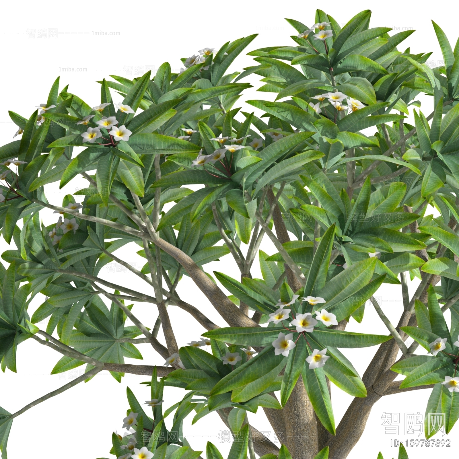 Modern Tree