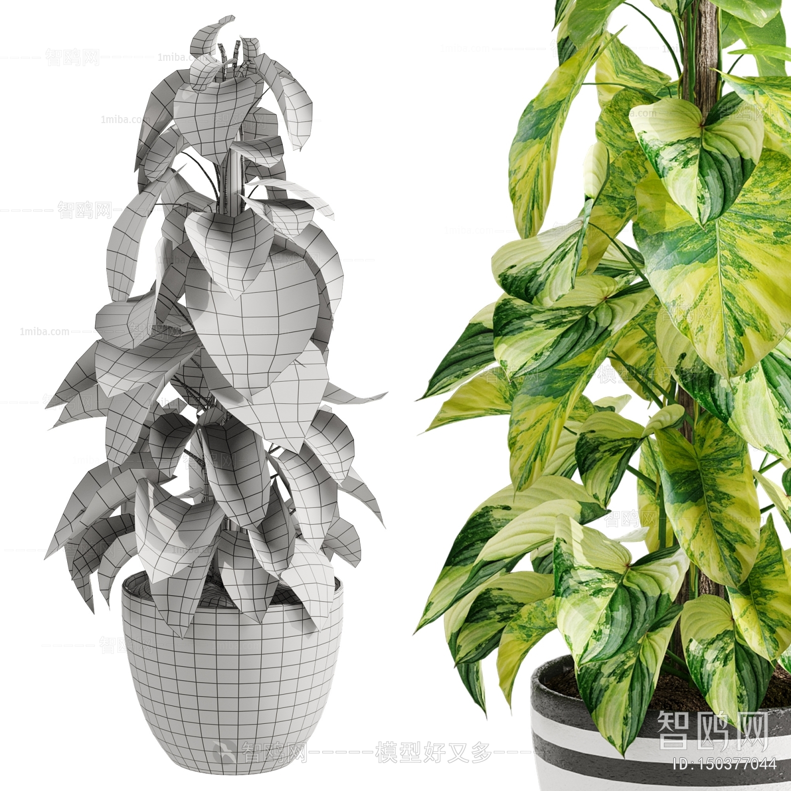 Modern Ground Green Plant Potted Plants