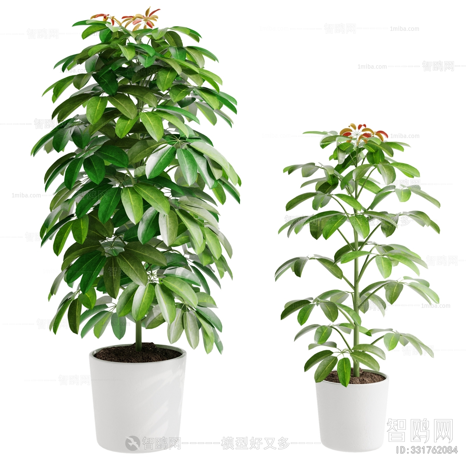 Modern Ground Green Plant Potted Plants