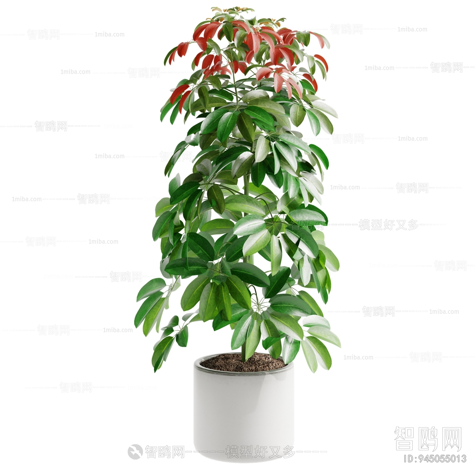 Modern Ground Green Plant Potted Plants