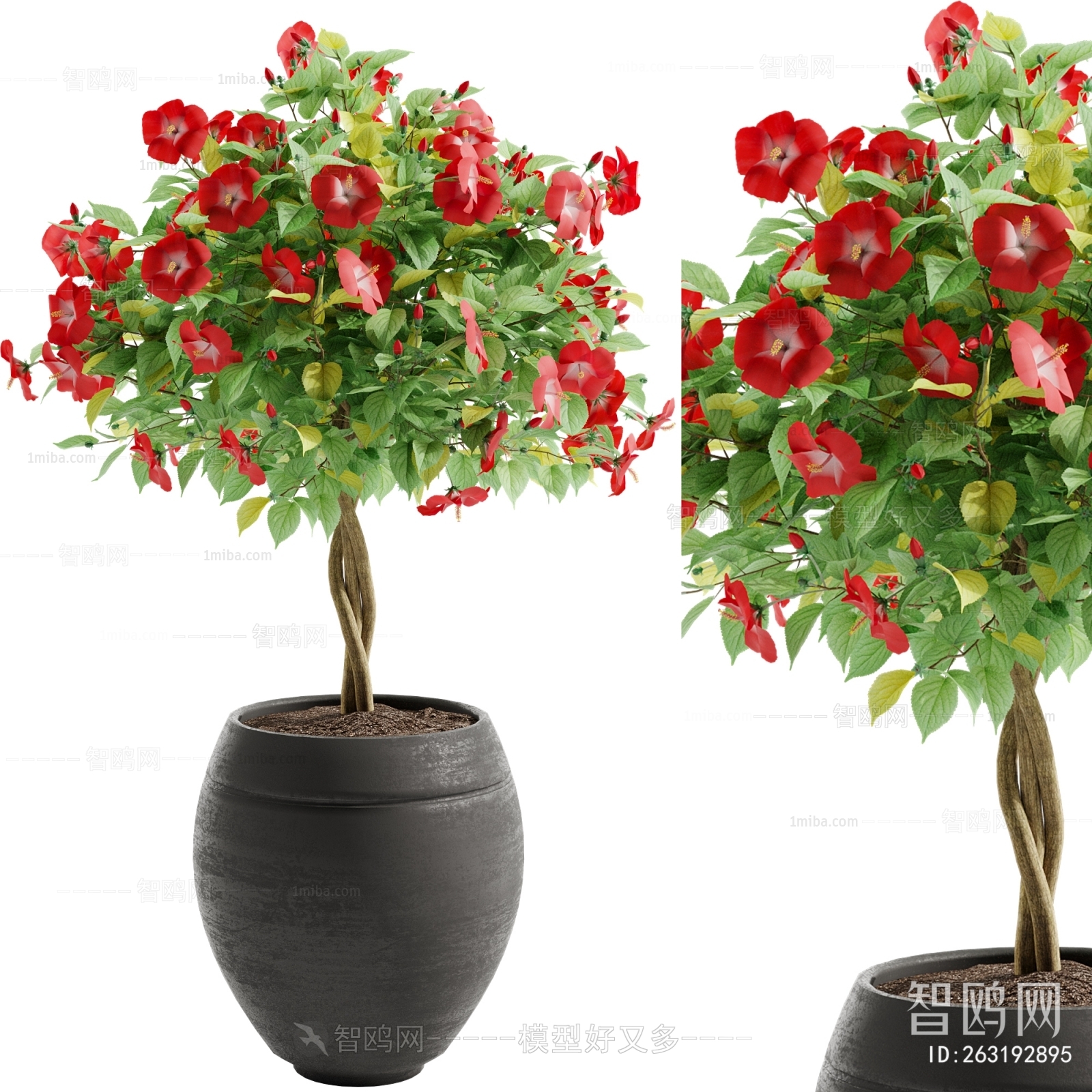 Modern Ground Green Plant Potted Plants