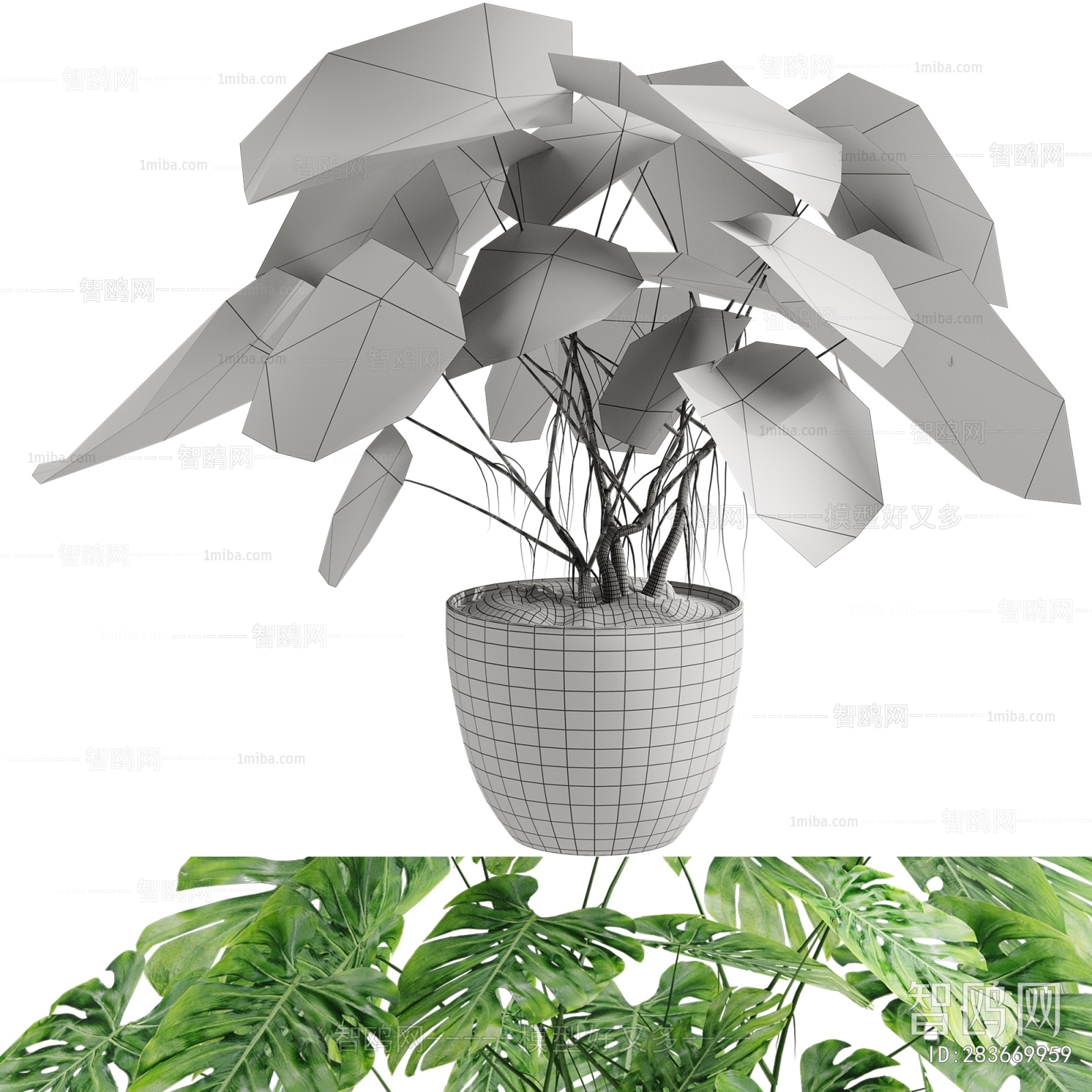 Modern Potted Green Plant
