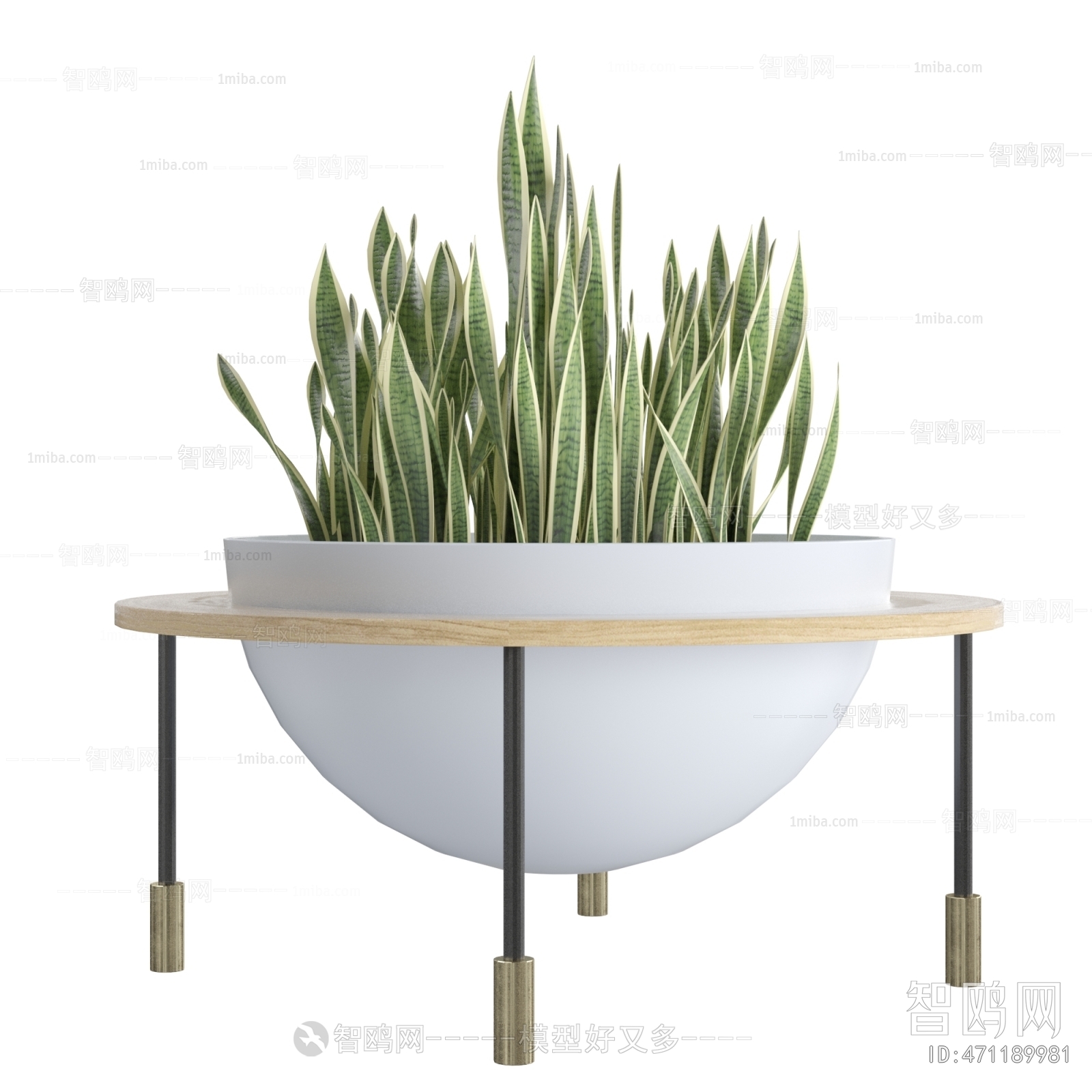 Modern Potted Green Plant