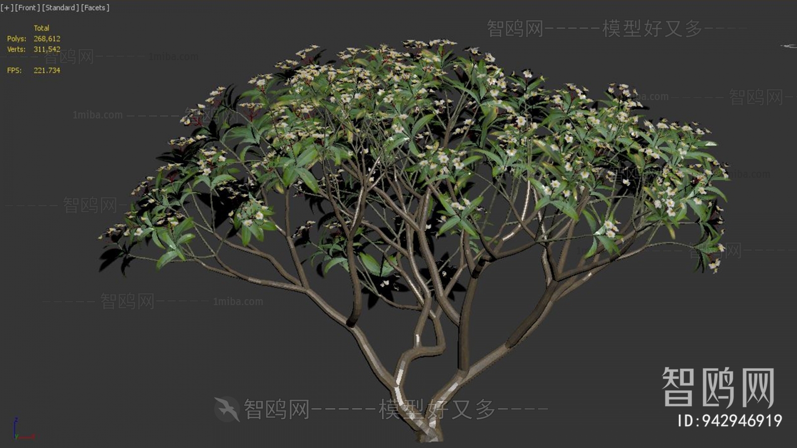 Modern Shrubbery